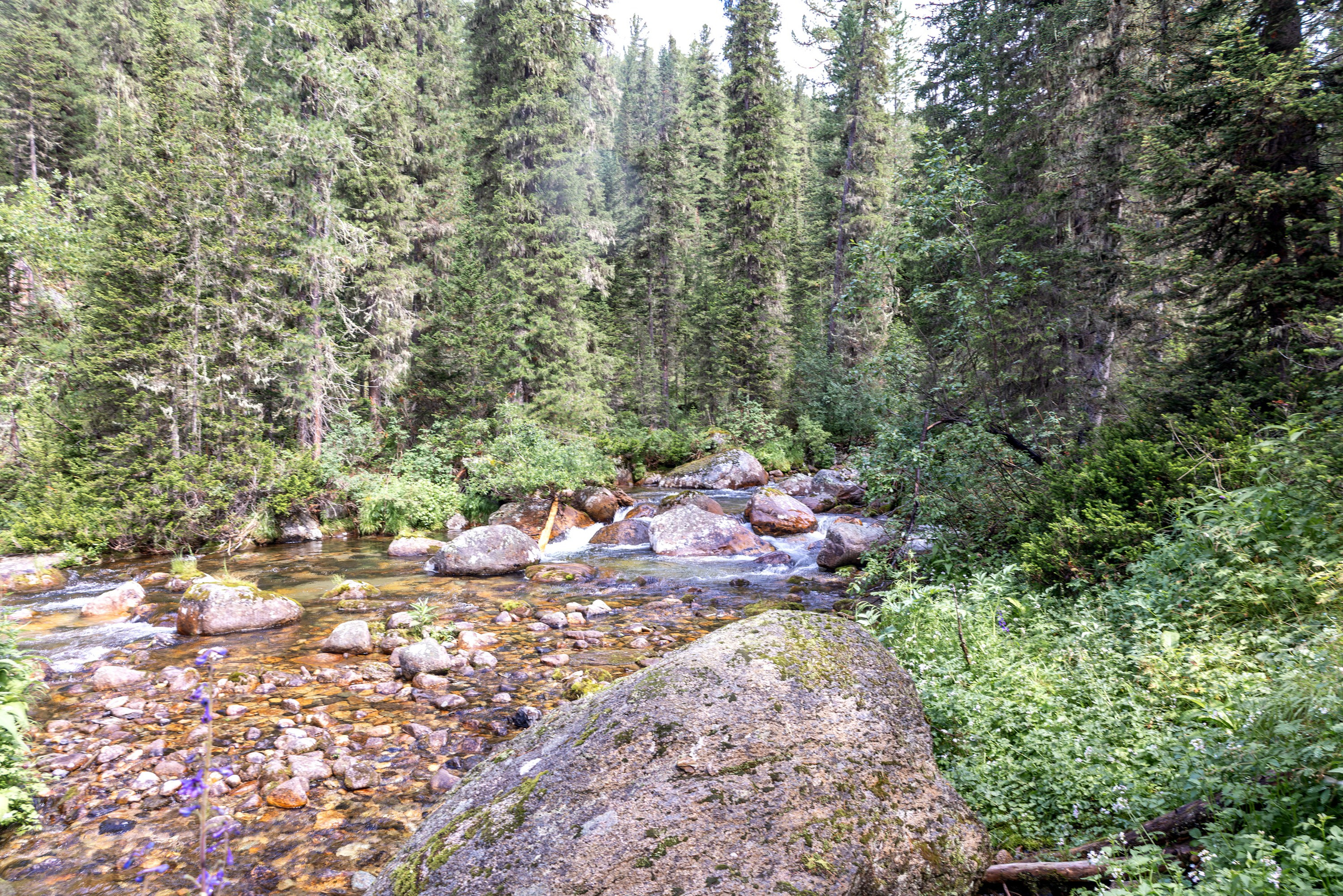 Ергаки. Семейный и детский фотограф в Красноярске, Дивногорцева Светлана
