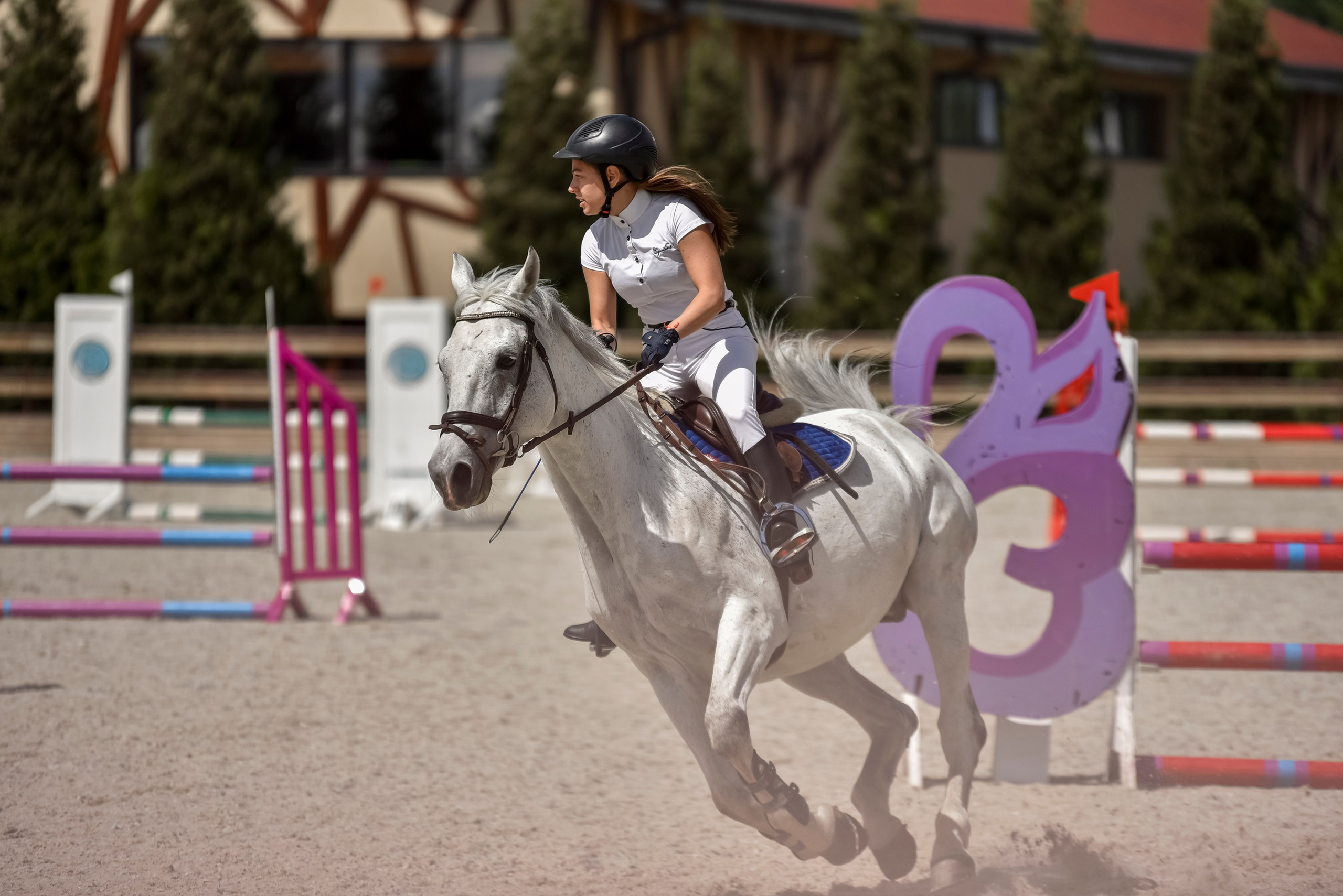 Репортажная съемка конных мероприятий. Конный фотограф из Москвы Ирина Бондаркова