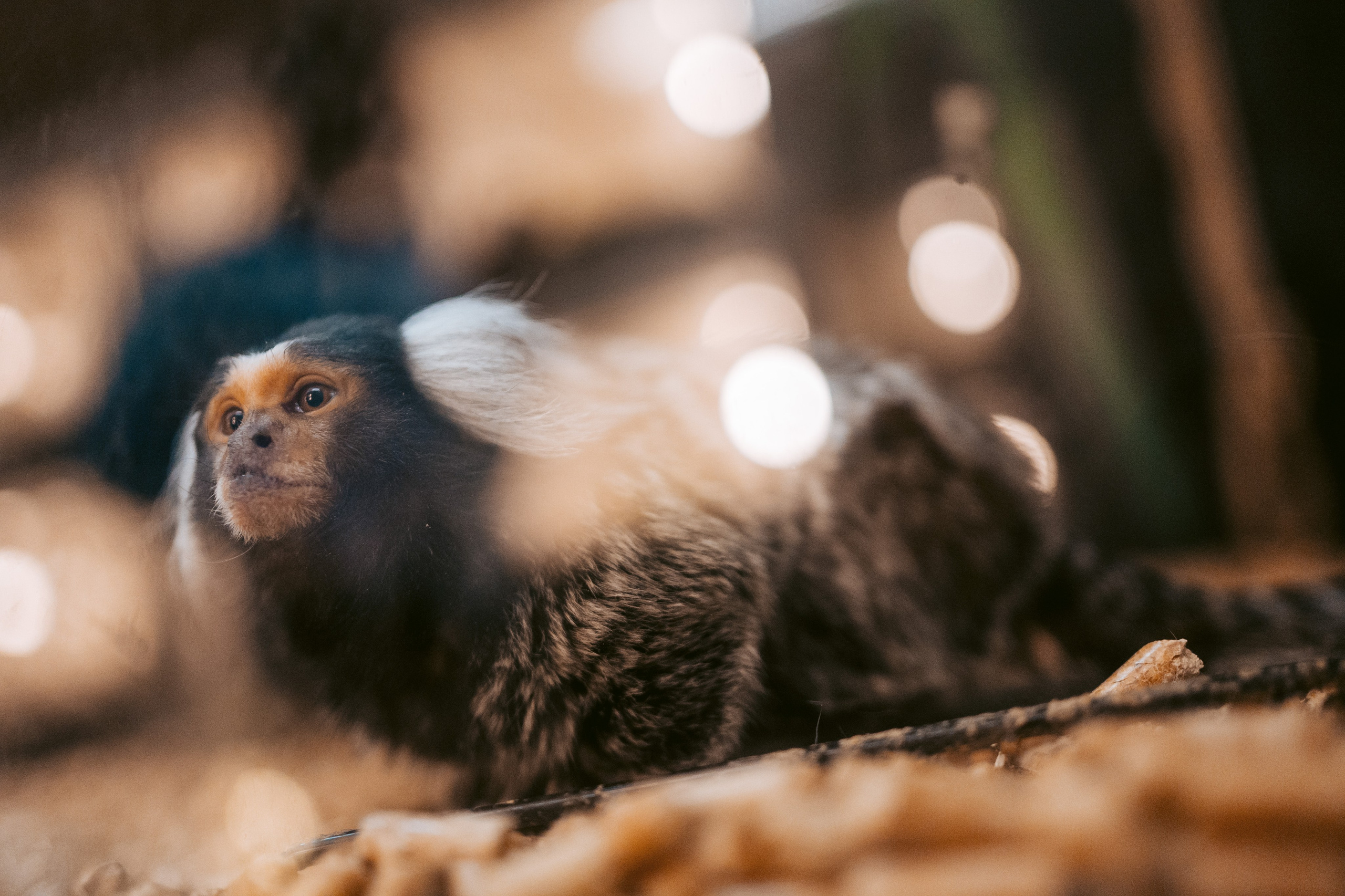 Ночь искусств 2023. Фотограф на любое событие в Кемерово