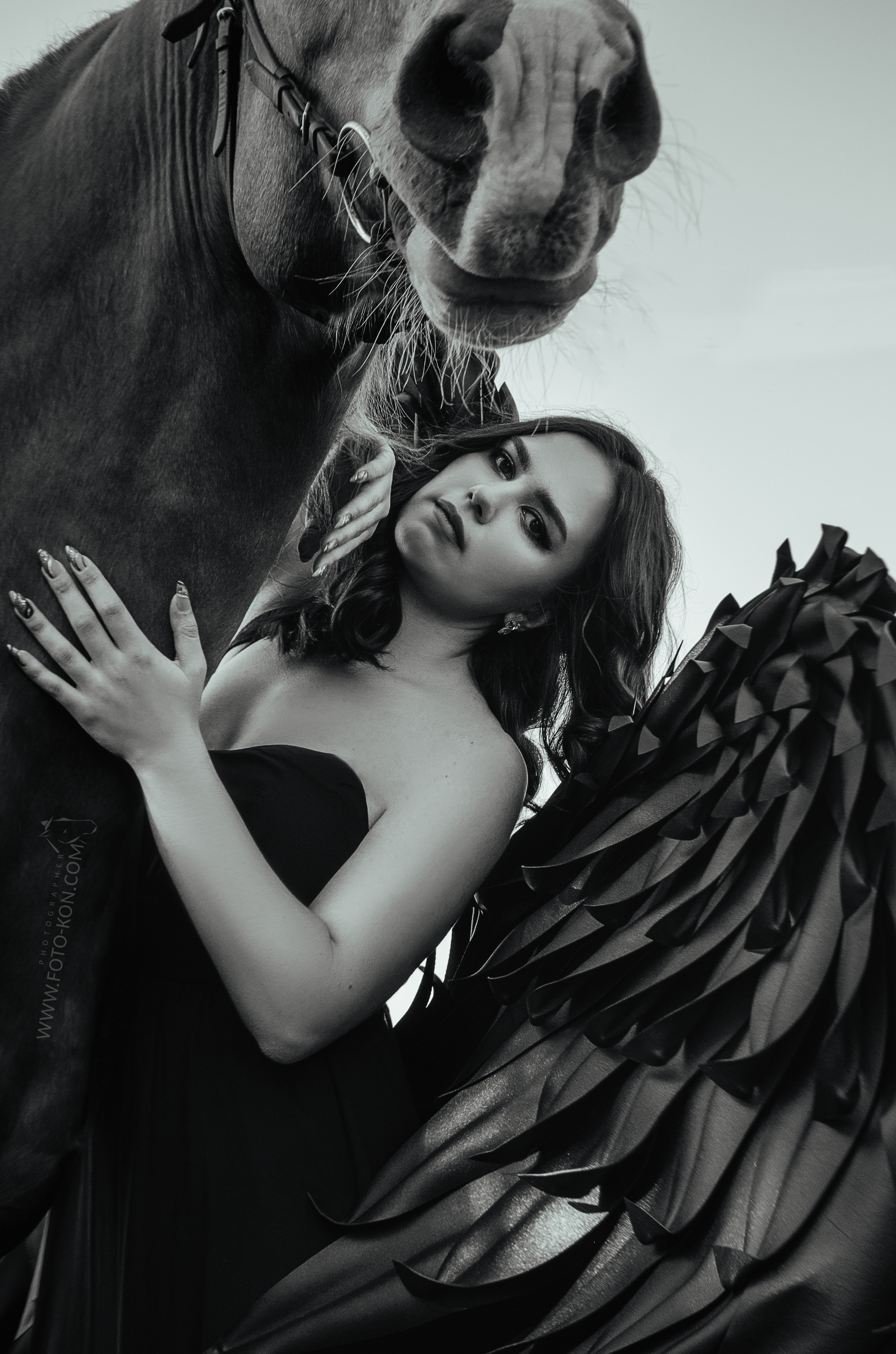 Съемка с лошадью Иркутск Иркутская область. Сайт фотографа Елены Коноваловой Иркутск