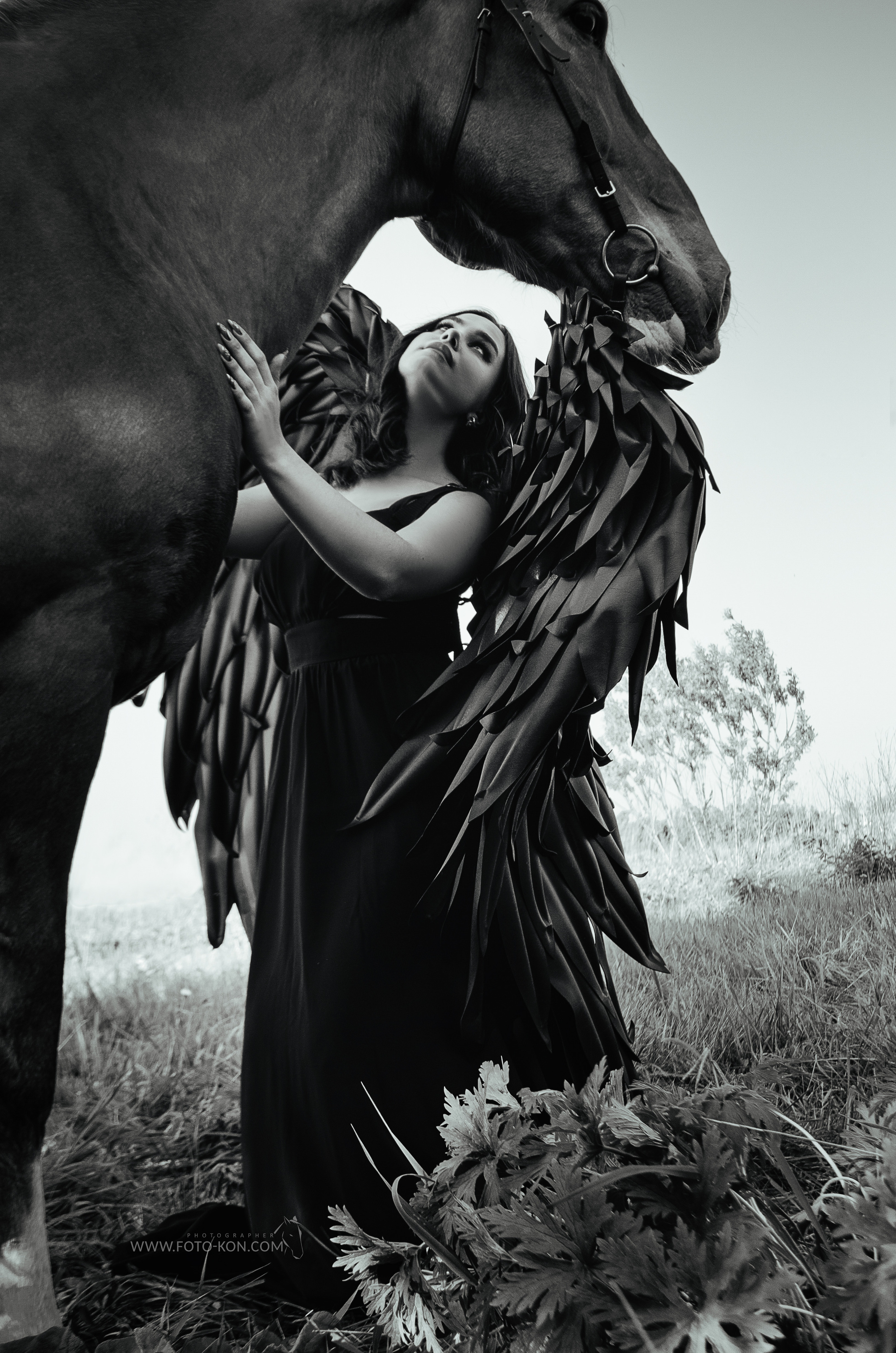 Съемка с лошадью Иркутск Иркутская область. Сайт фотографа Елены Коноваловой Иркутск