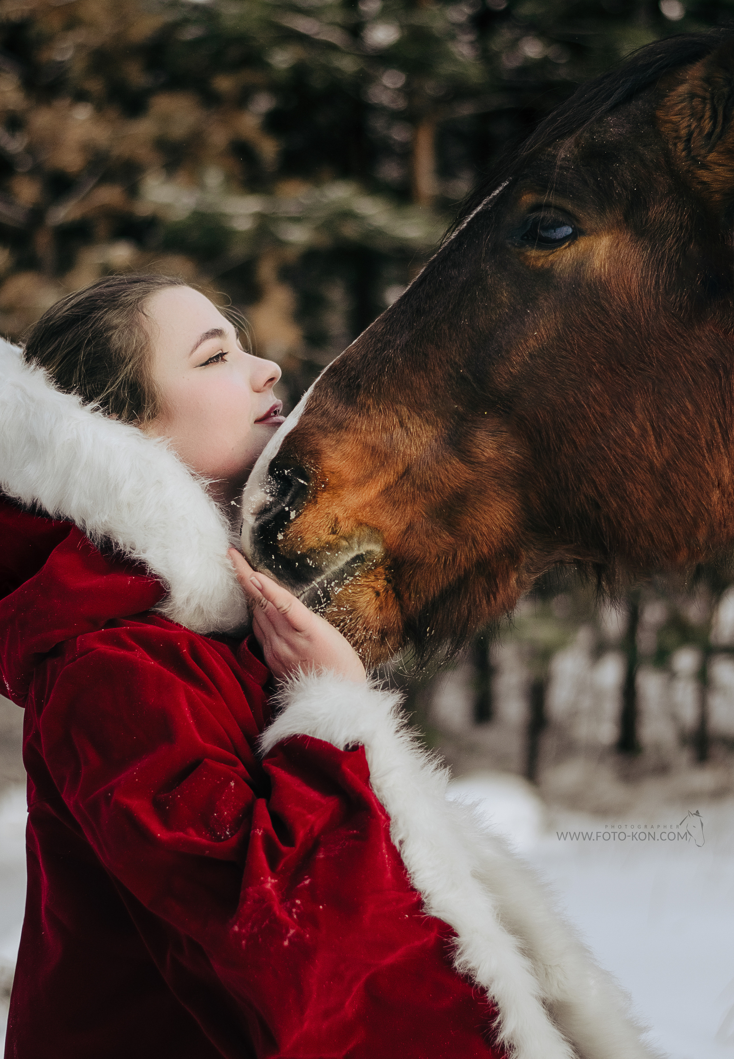 Съемка с лошадью Иркутск Иркутская область. Сайт фотографа Елены Коноваловой Иркутск
