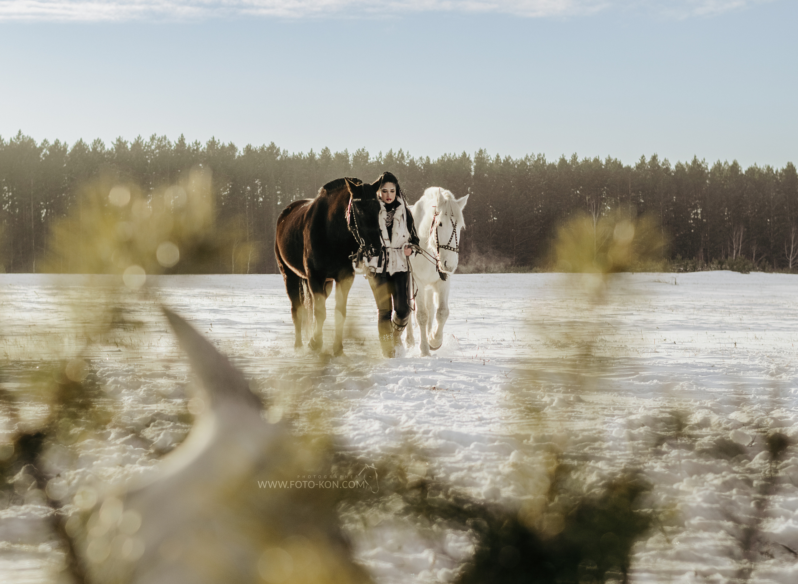 Съемка с лошадью Иркутск Иркутская область. Сайт фотографа Елены Коноваловой Иркутск