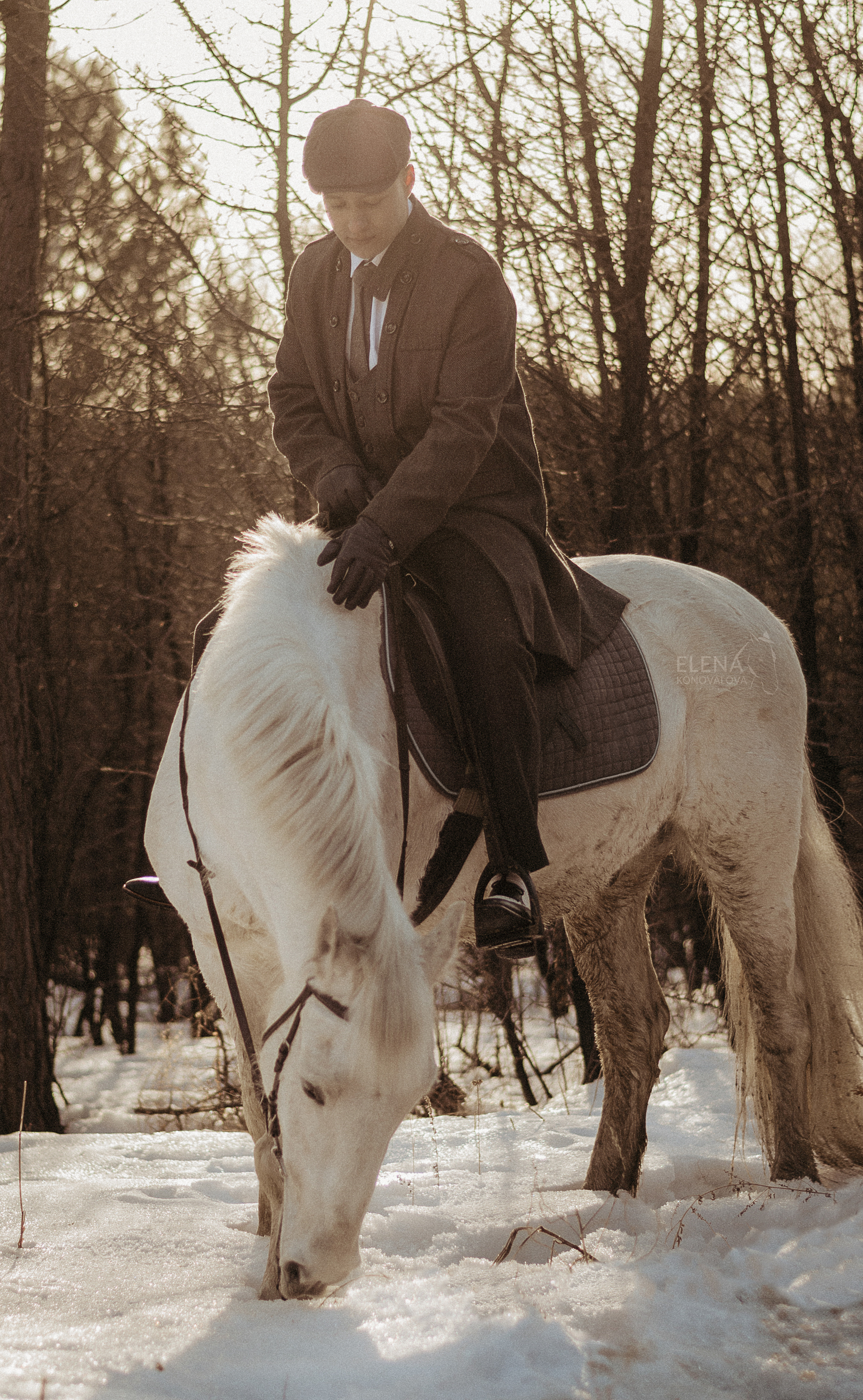 Съемка с лошадью Иркутск Иркутская область. Сайт фотографа Елены Коноваловой Иркутск