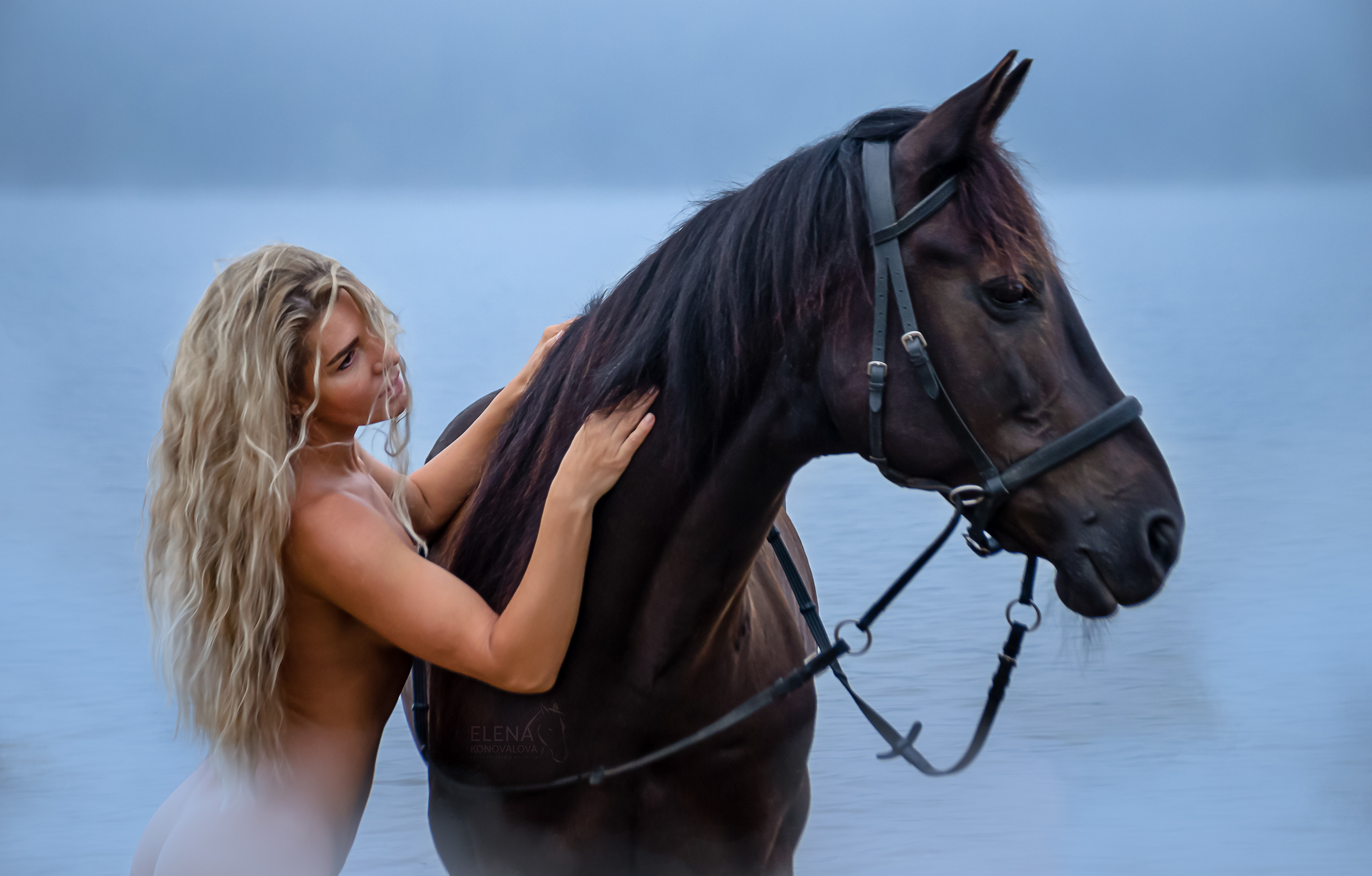 Съемка с лошадью Иркутск Иркутская область. Сайт фотографа Елены Коноваловой Иркутск