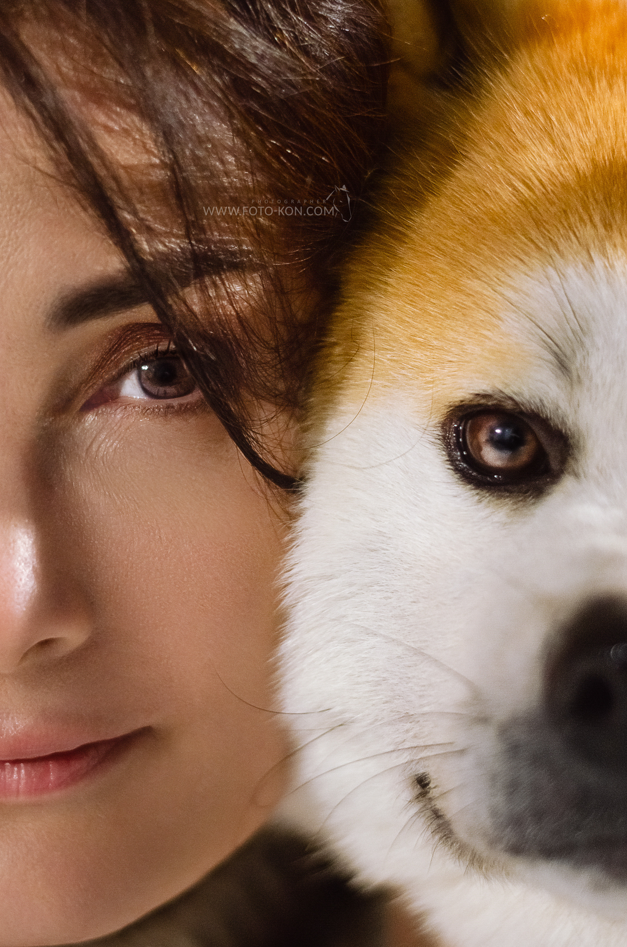 Съемка с собаками, животными. Сайт фотографа Елены Коноваловой Иркутск