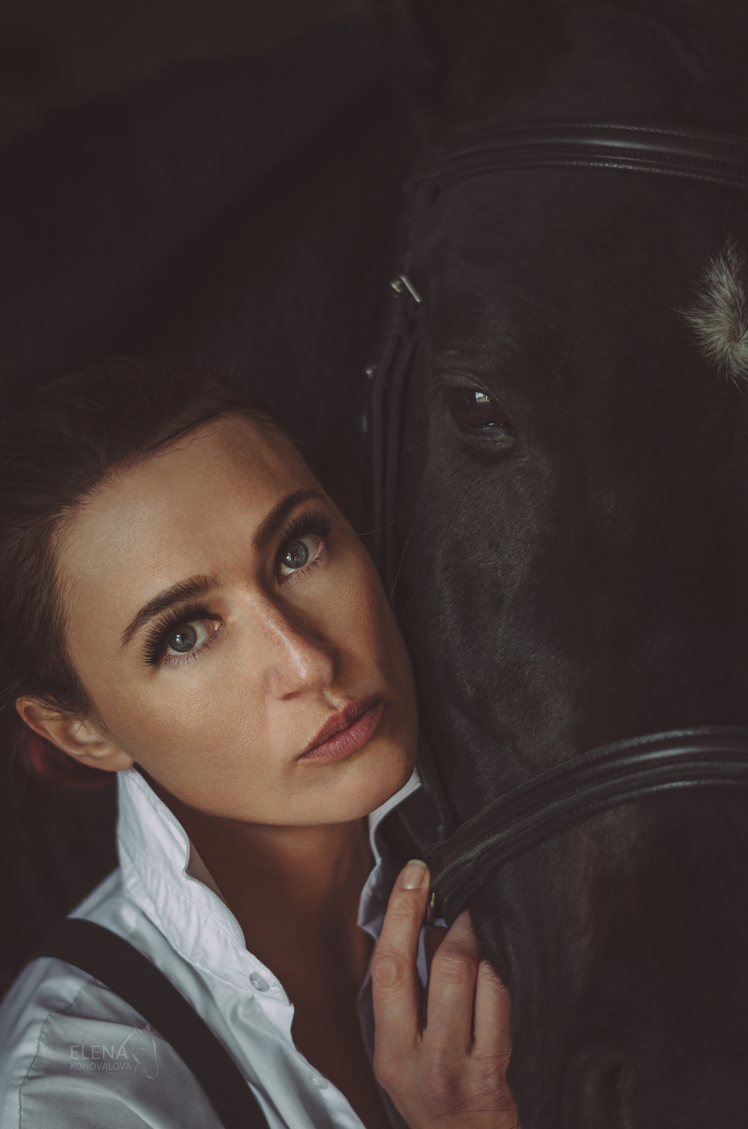 Съемка с лошадью Иркутск Иркутская область. Сайт фотографа Елены Коноваловой Иркутск