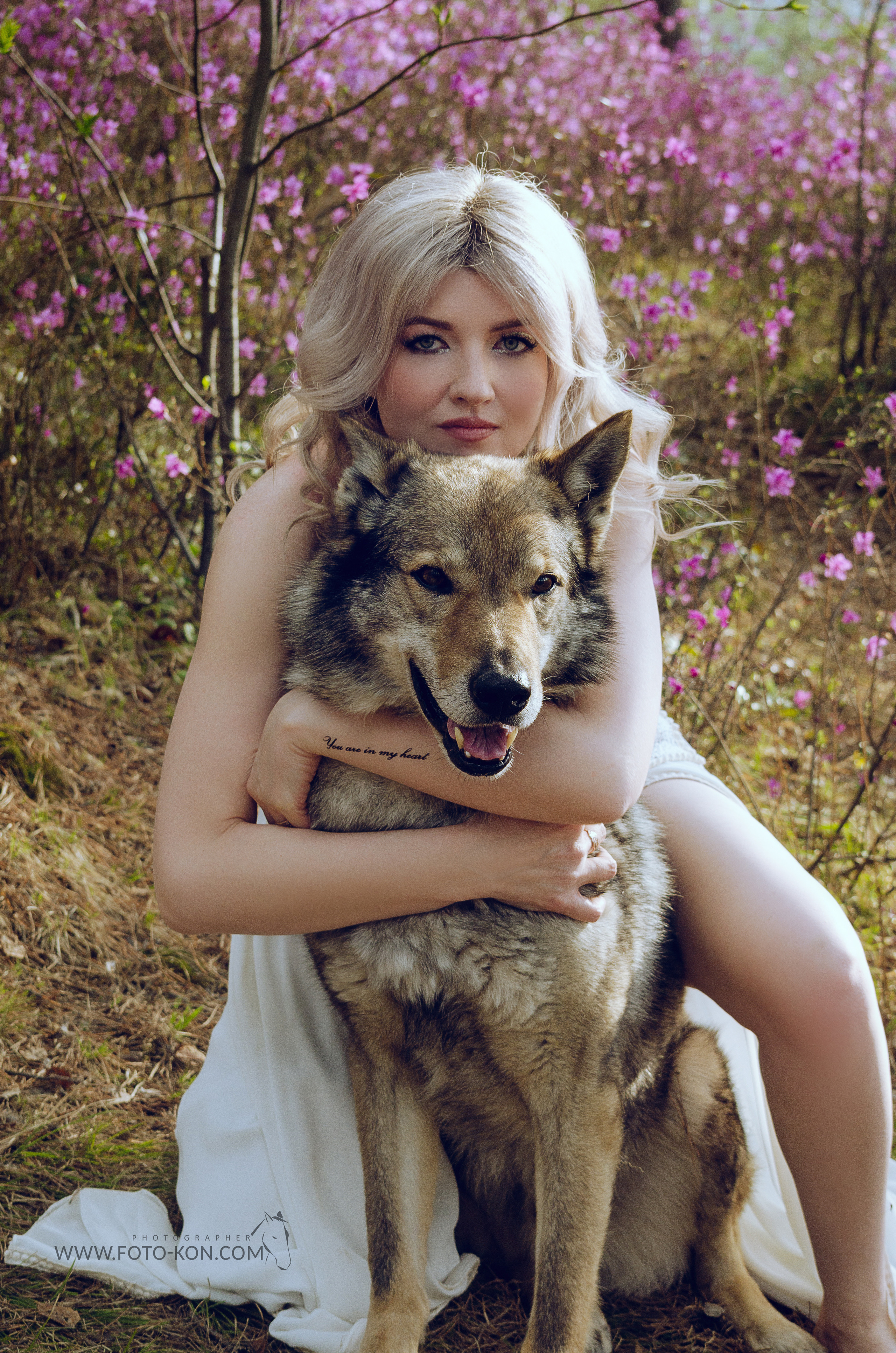 Съемка с собаками, животными. Сайт фотографа Елены Коноваловой Иркутск