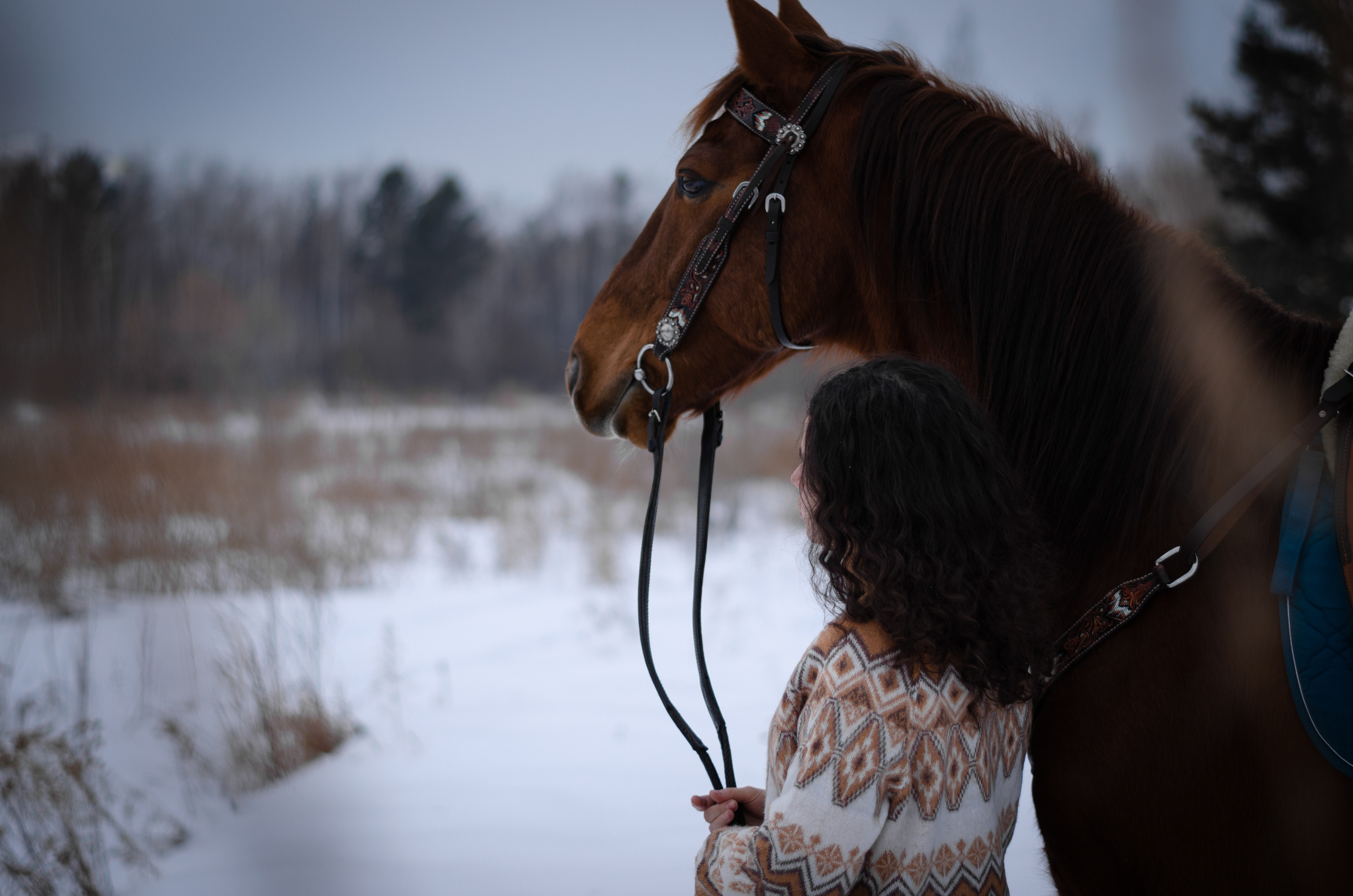 Съемка с лошадью Иркутск Иркутская область. Сайт фотографа Елены Коноваловой Иркутск