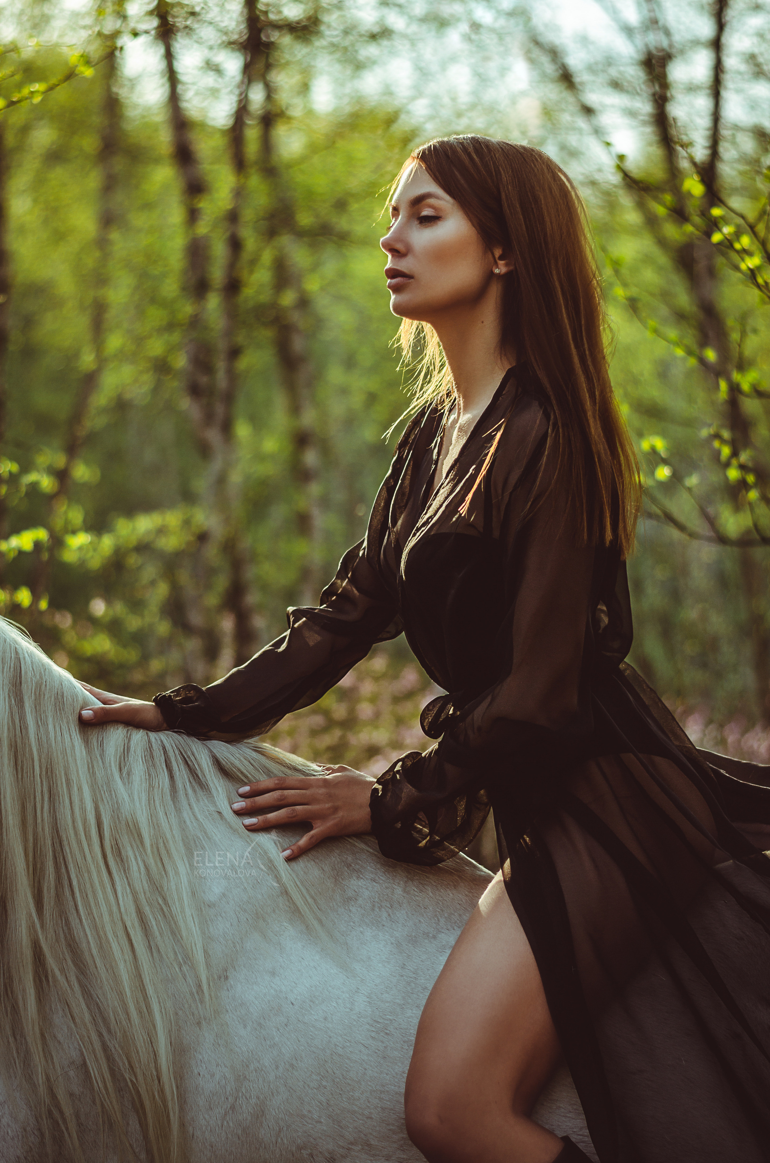 Съемка с лошадью Иркутск Иркутская область. Сайт фотографа Елены Коноваловой Иркутск