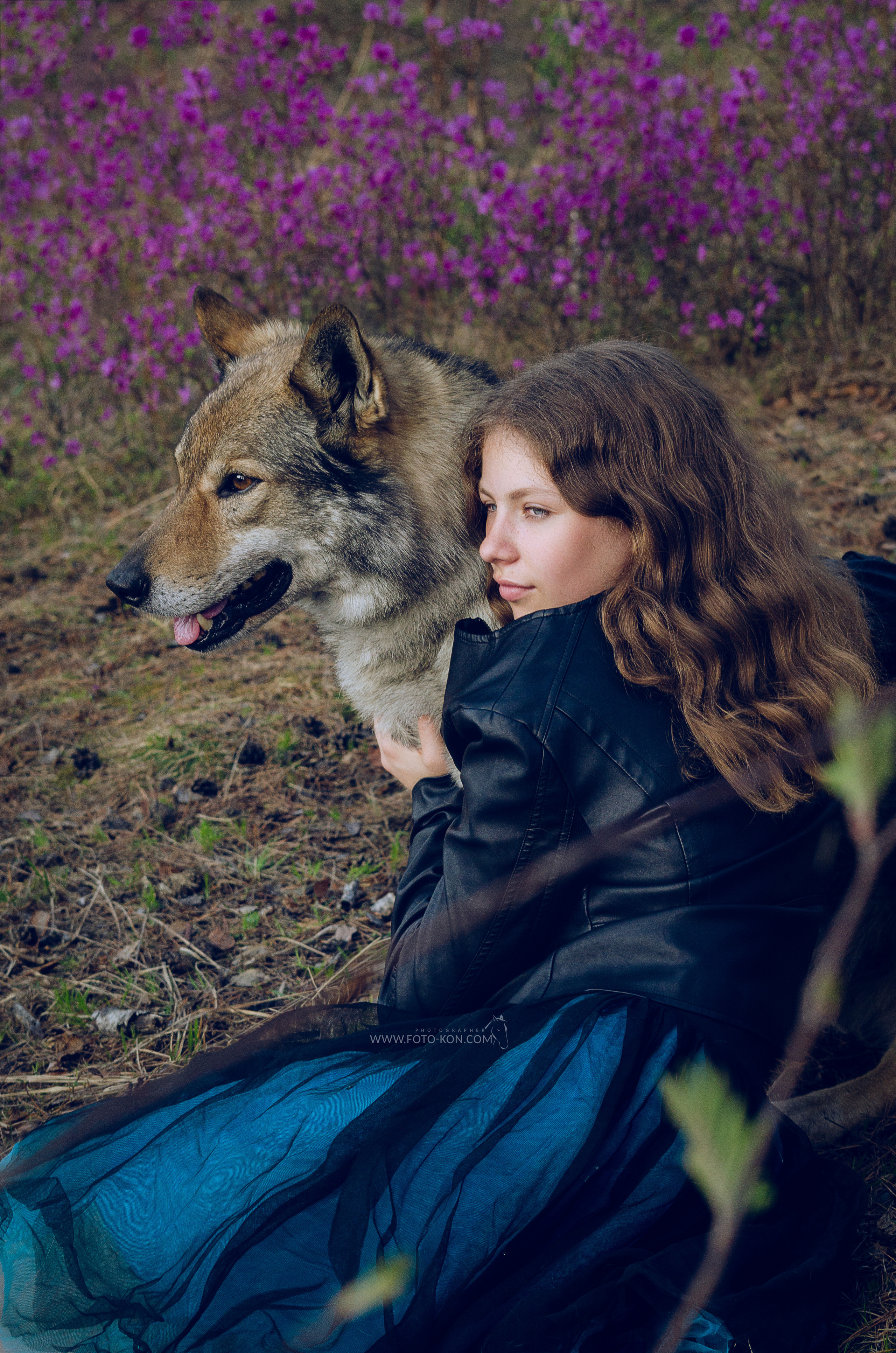 Съемка с собаками, животными. Сайт фотографа Елены Коноваловой Иркутск
