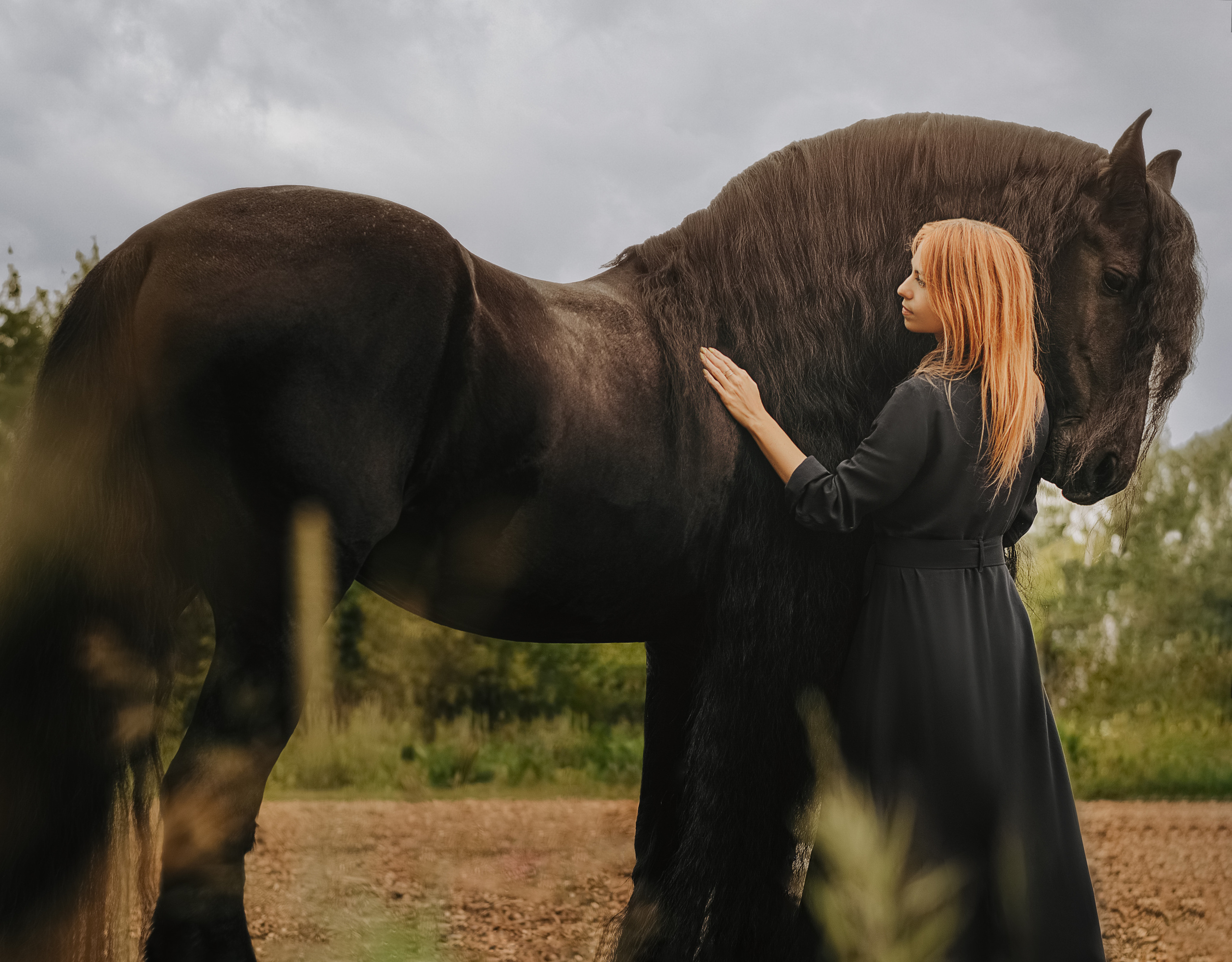 Съемка с лошадью Иркутск Иркутская область. Сайт фотографа Елены Коноваловой Иркутск