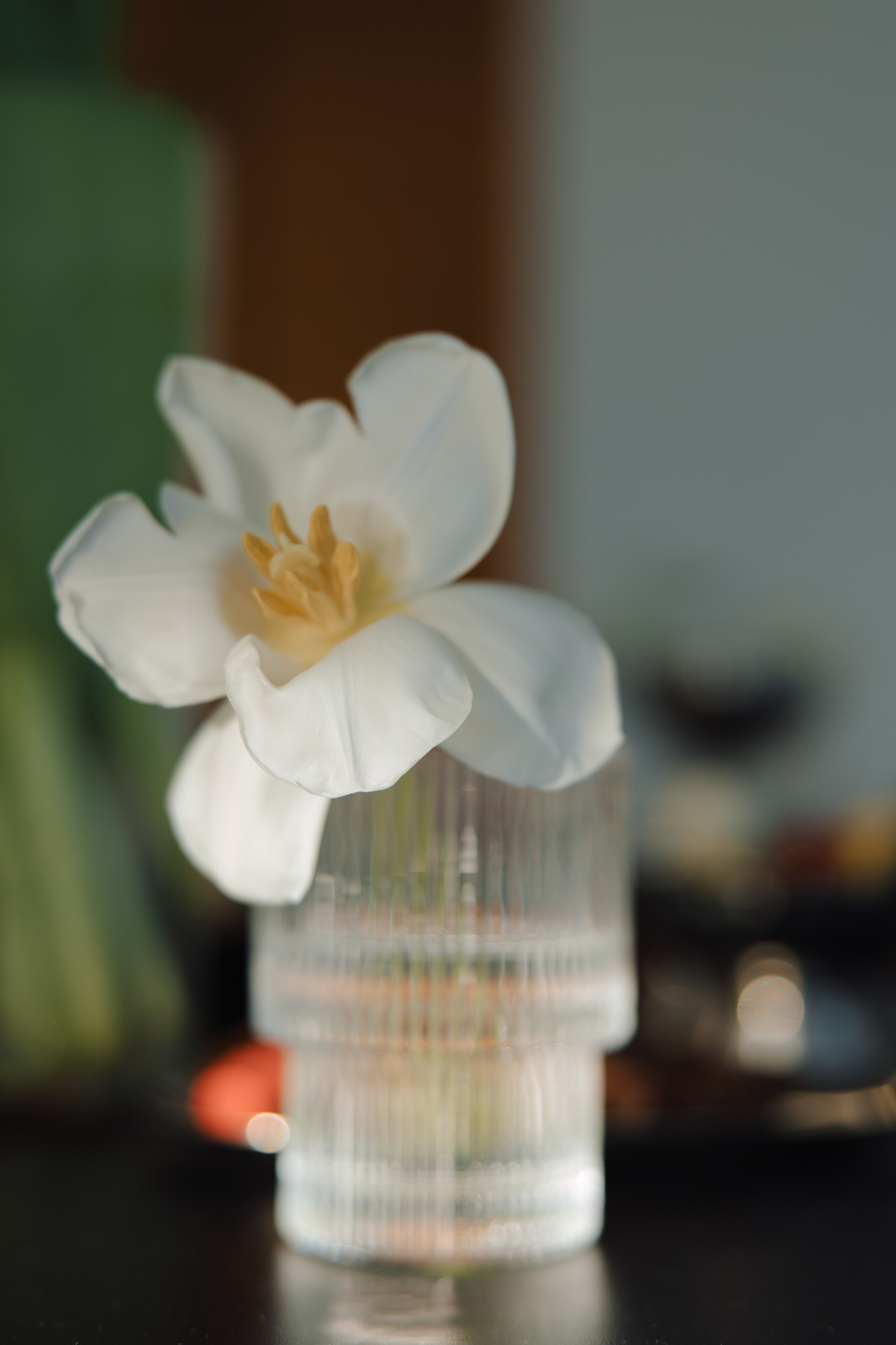 «Завтра я полюблю тебя снова». Свадебный фотограф Москва