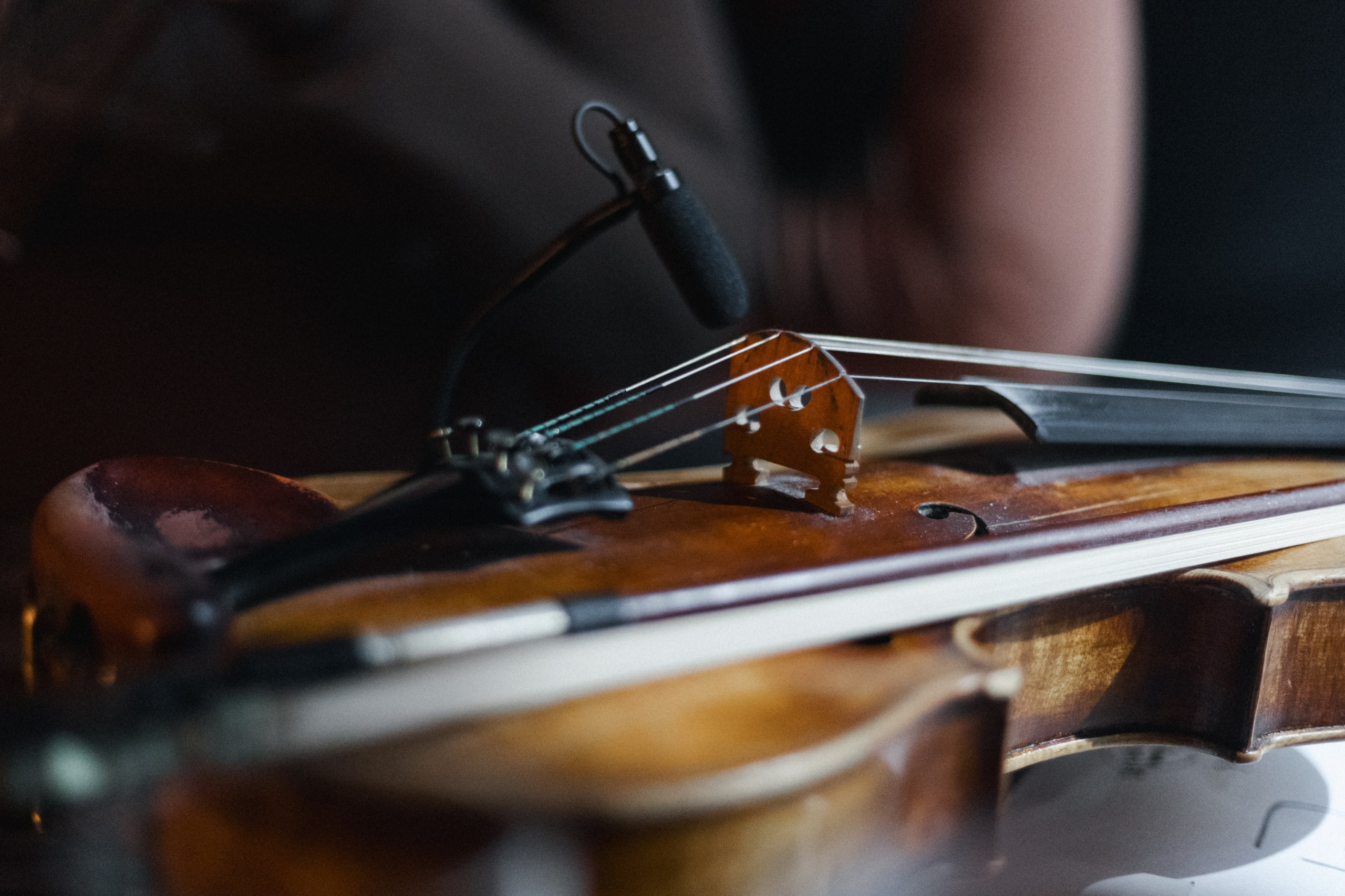 STANZIA: Ethno. СВОИ. ФОТООТЧЕТЫ-СОБЫТИЯ-МЕСТА