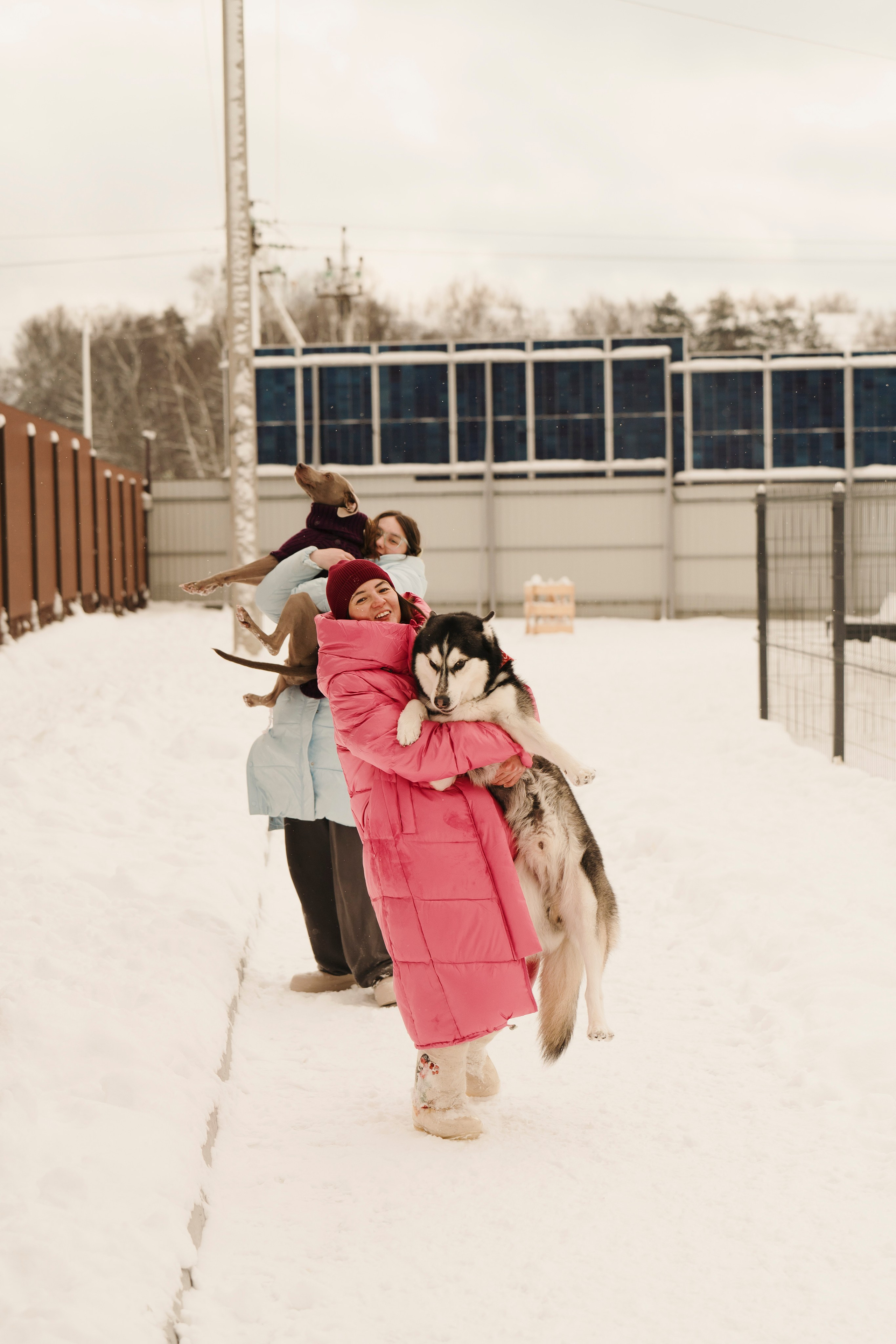 Зоогостиница Мишка. Фотограф- анималист Александра Матвеева