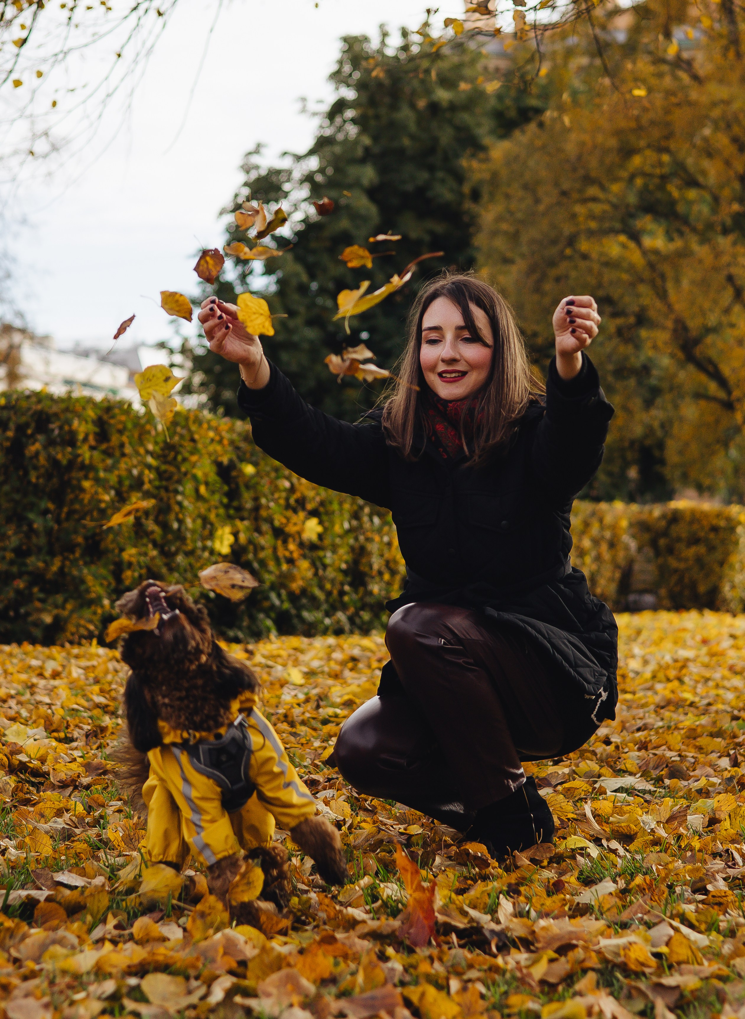 Летающая Мерси