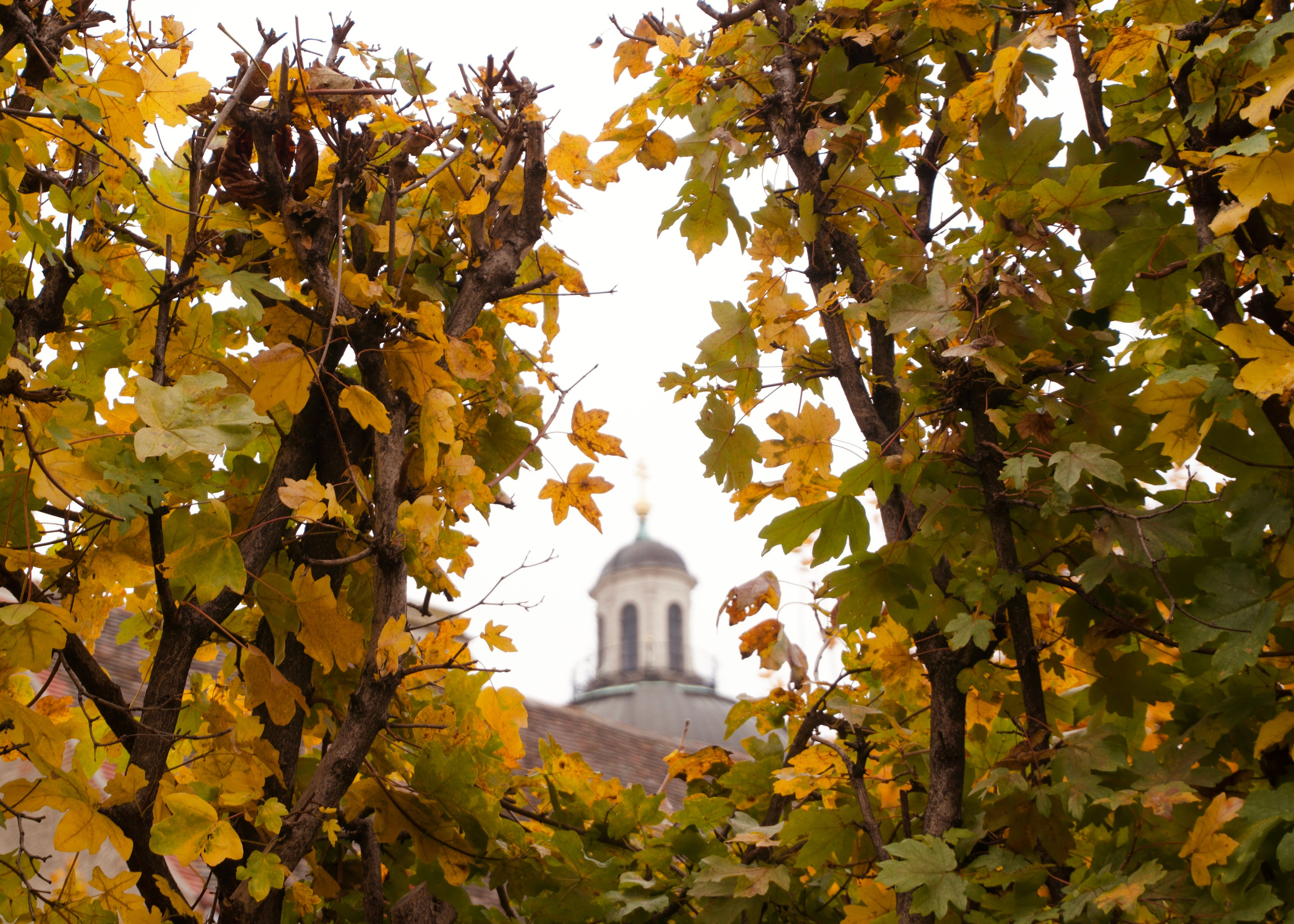 Города. Анна Жукова — Режиссёр кино и цирка, сценарист, фотограф