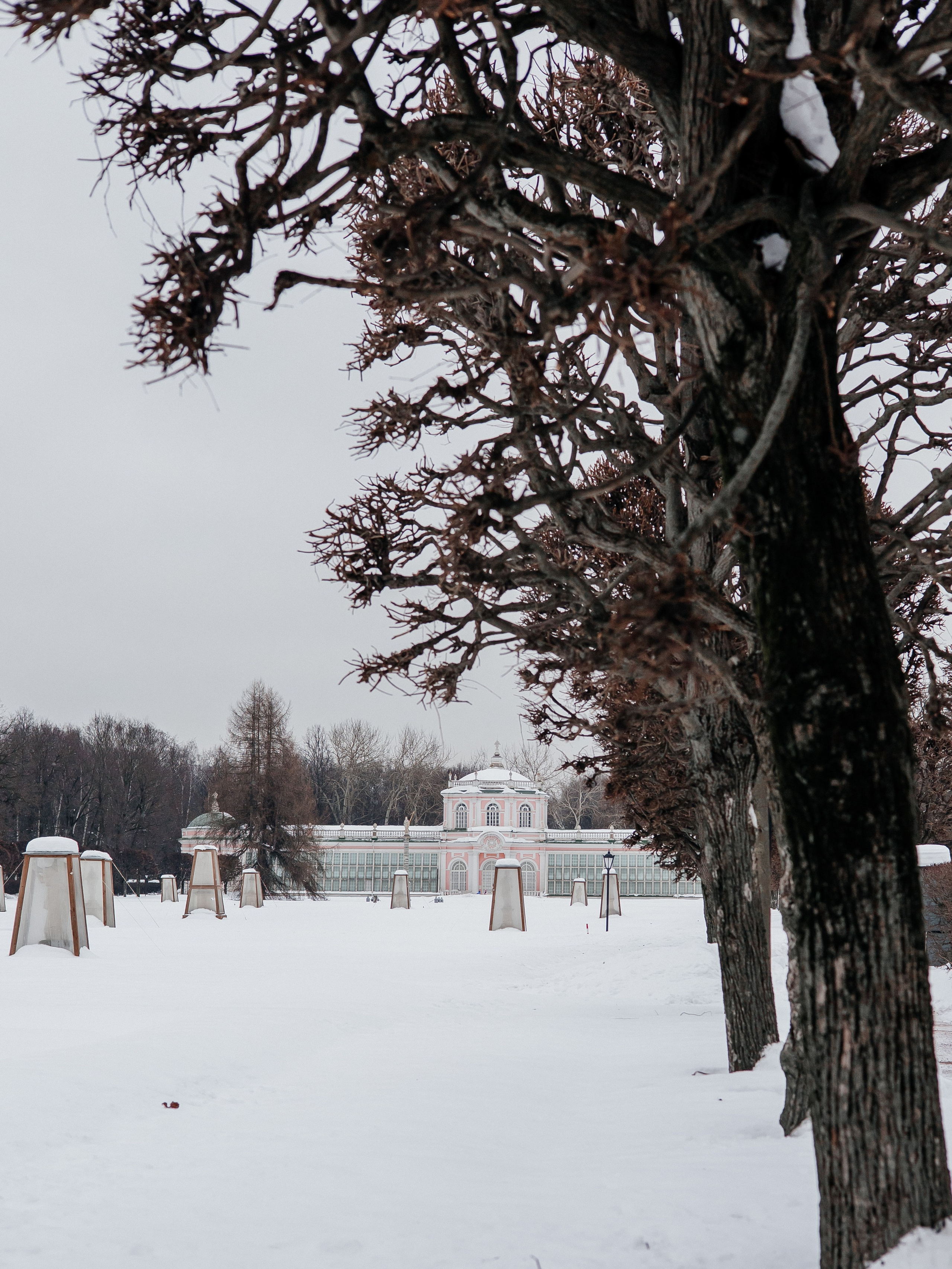 Фотоотчет с экскурсии в музей-заповедник «Кусково». Свадебный и репортажный фотограф в Москве