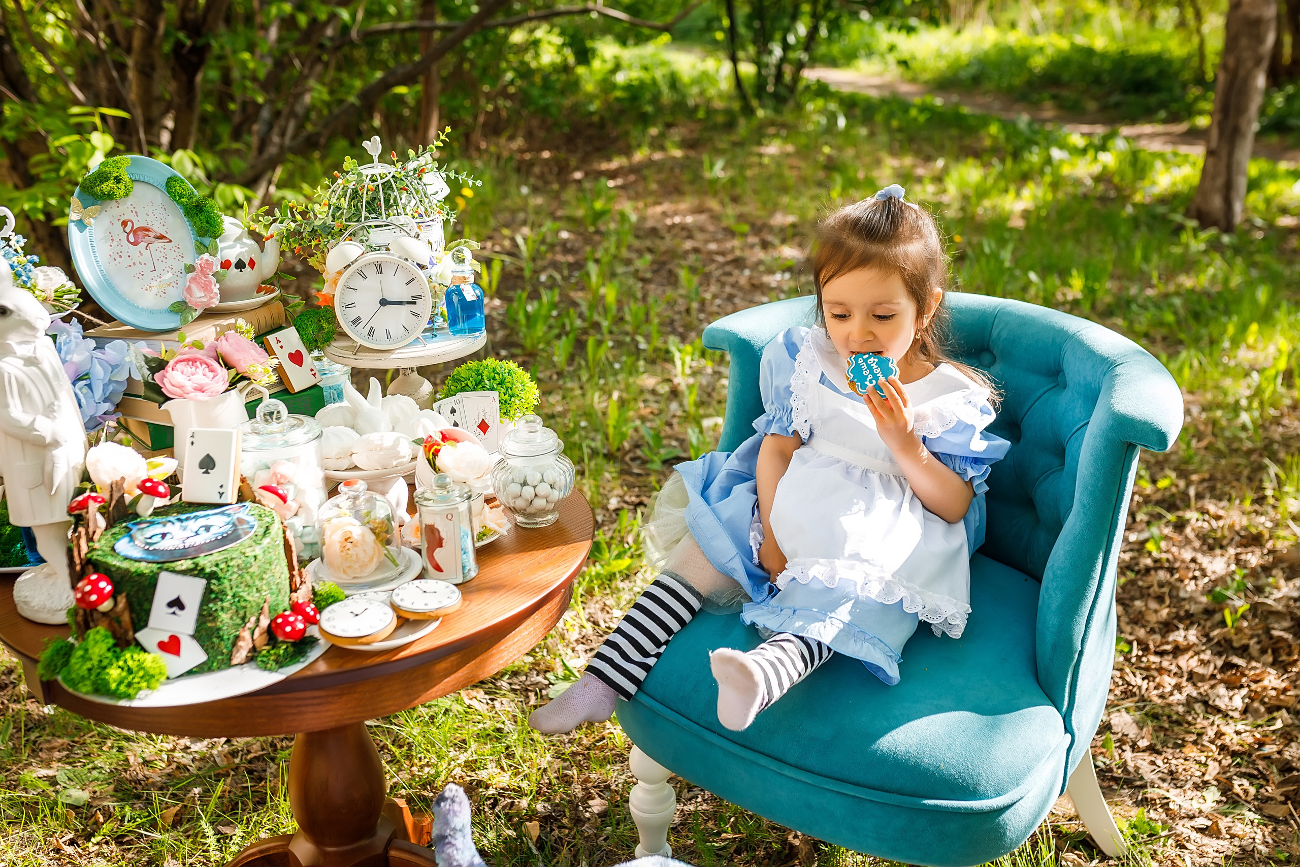 Алиса в стране чудес. Детский и ньюборн фотограф г. Миасса