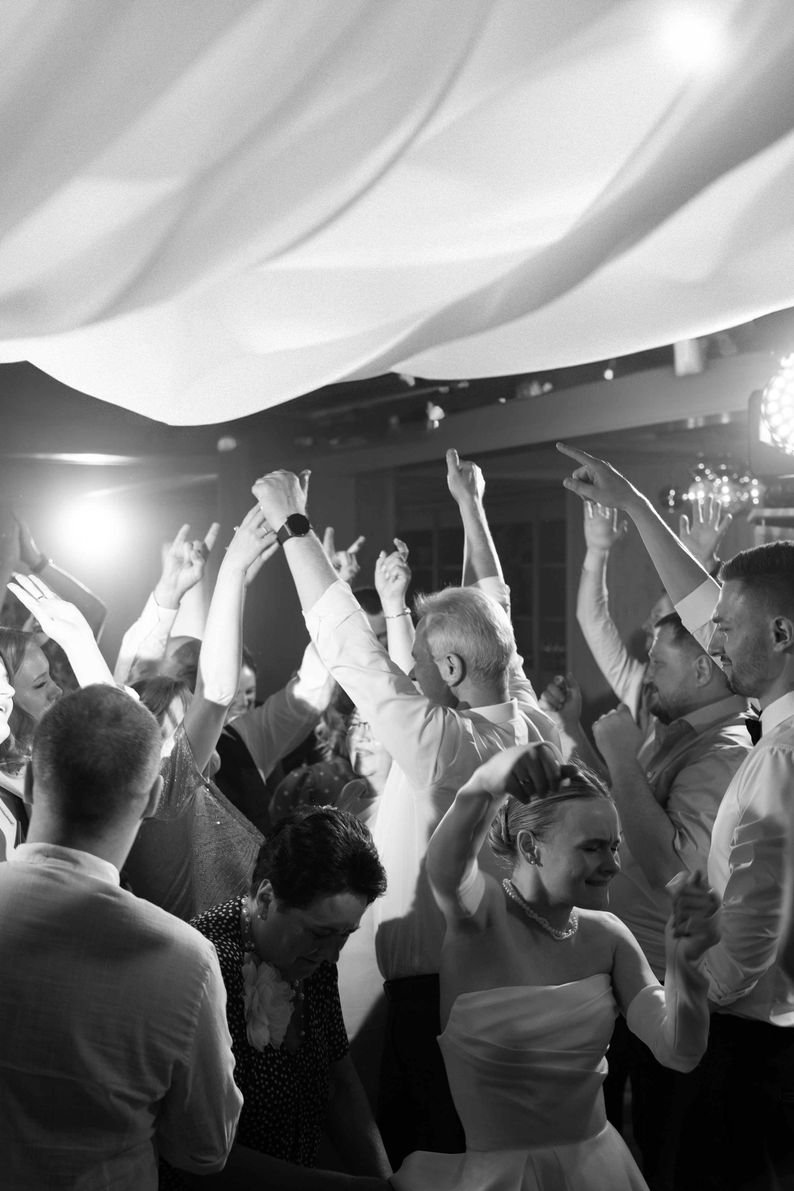 Четыре лапы. Свадебный фотограф Наташа Брифли