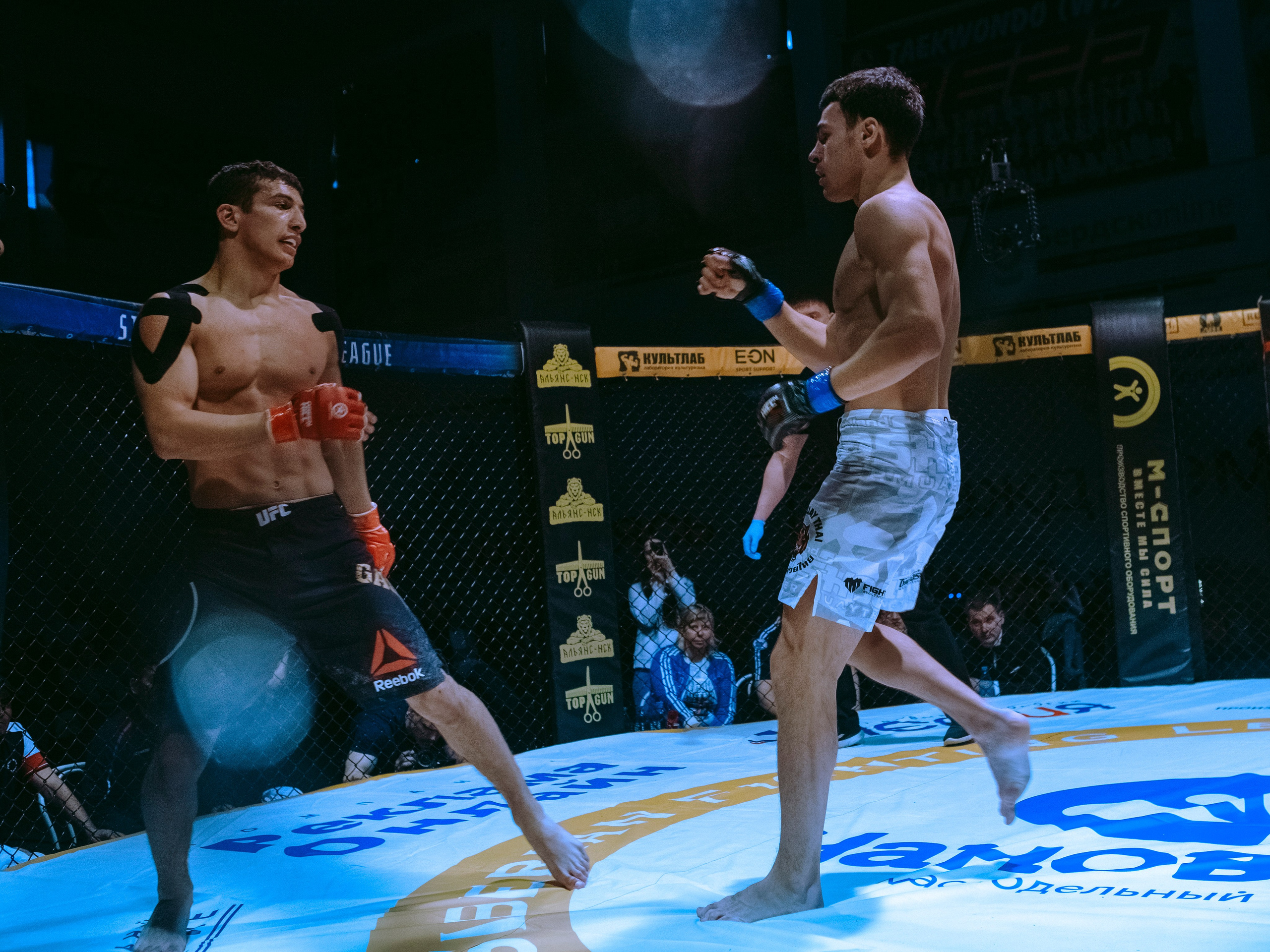 SFL 17 | Siberian Fighting League. Портретный фотограф в Москве Дарья Цезария