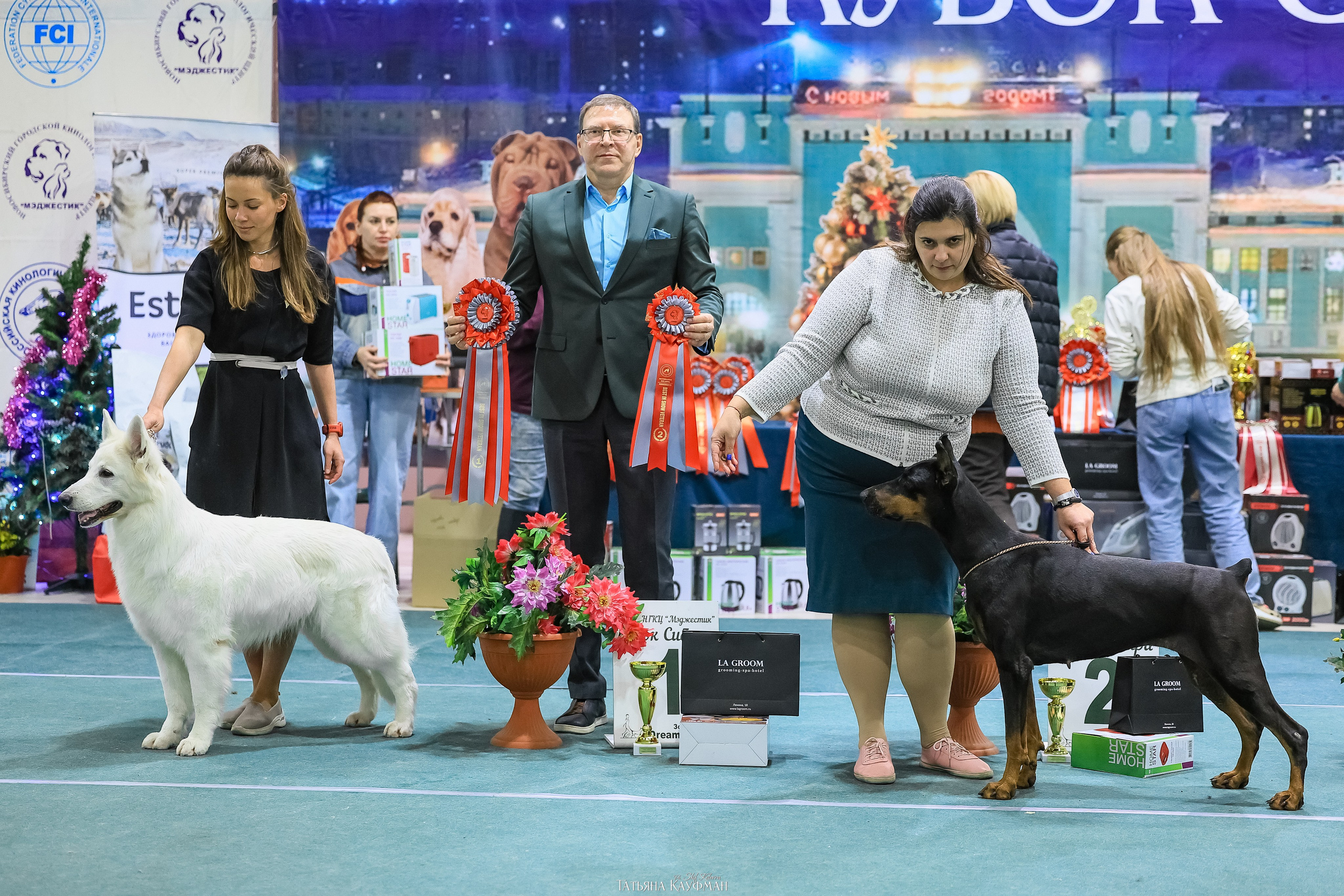 6-7.12.25 — 1-4 Национальные выставки собак в Новосибирске (2х рейтинговые). Фотограф Анималист из Новосибирска Татьяна Кауфман