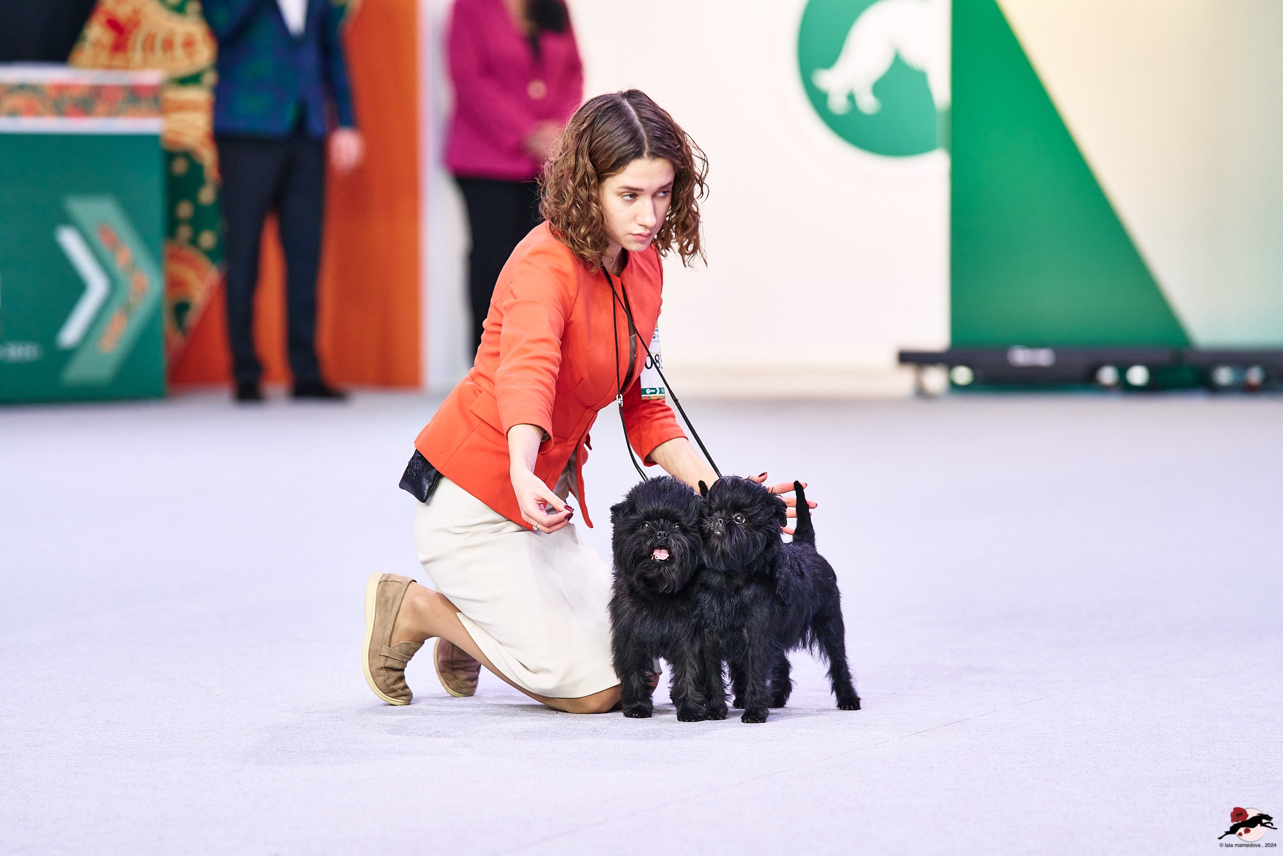 16.11.2024 «ЕВРАЗИЯ. КУБОК ПРЕЗИДЕНТА РКФ 2024»