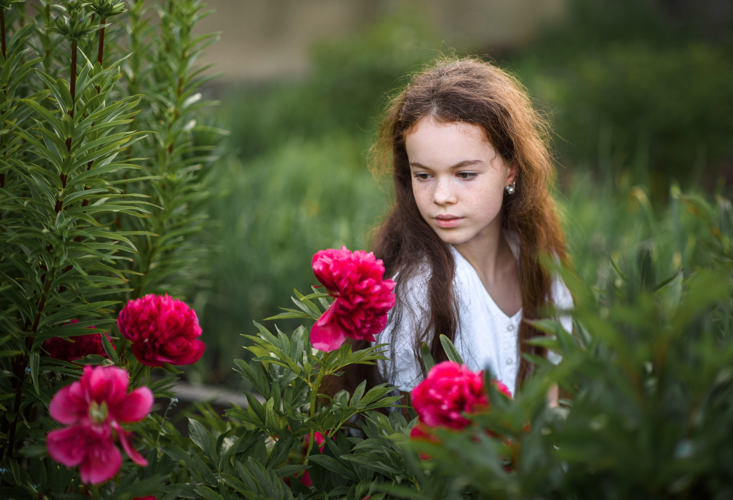 Детская летняя фотосессия в Сыктывкаре детский фотограф лето Сыктывкар. Фотограф новорождённых детский фотограф Сыктывкар Наталья Линдт