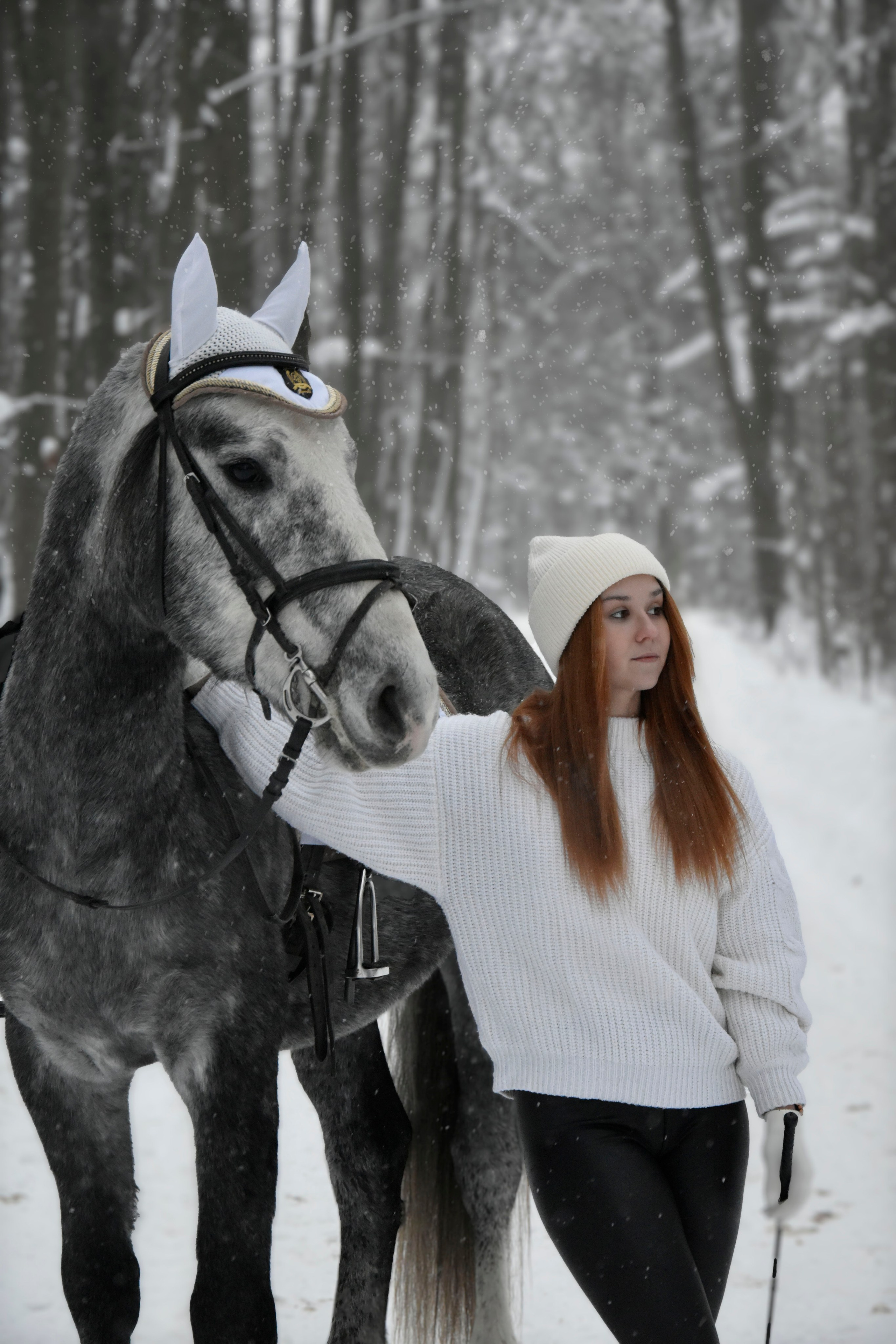 Владислава и Хантер. Фотосессия. Конный фотограф Москва
