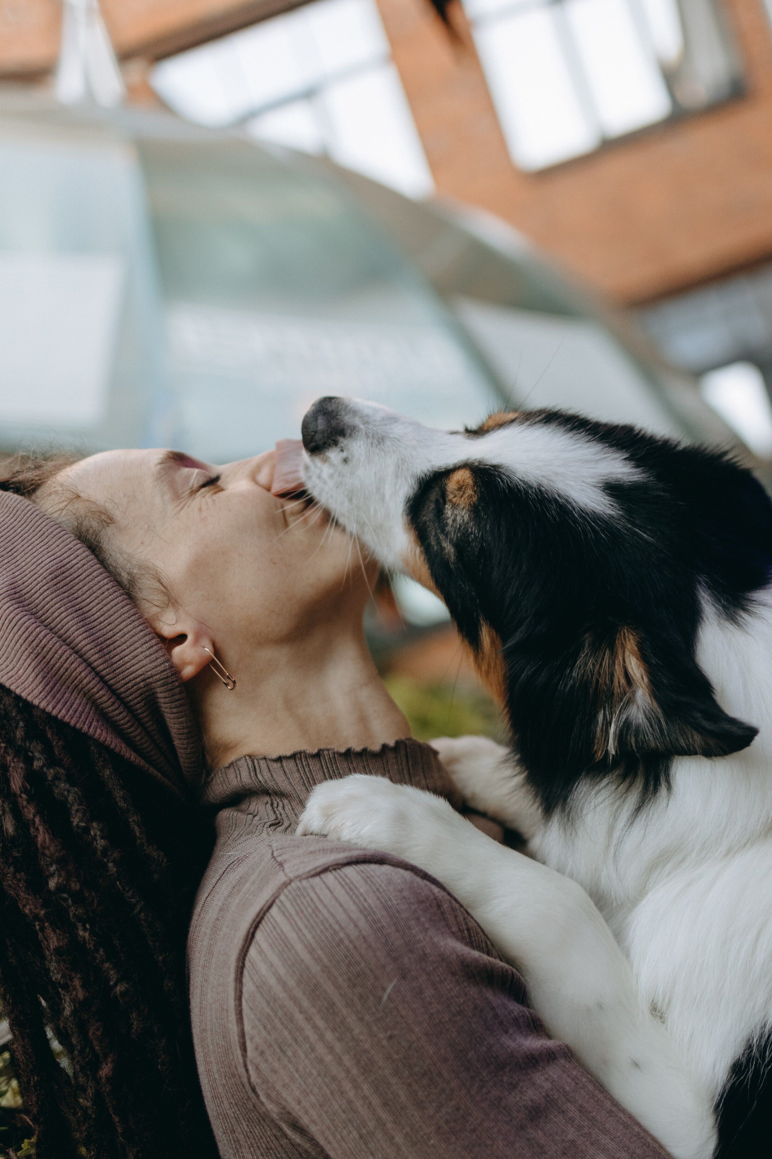 Катя и ее девочки. Фотограф — Анималист | Санкт-Петербург