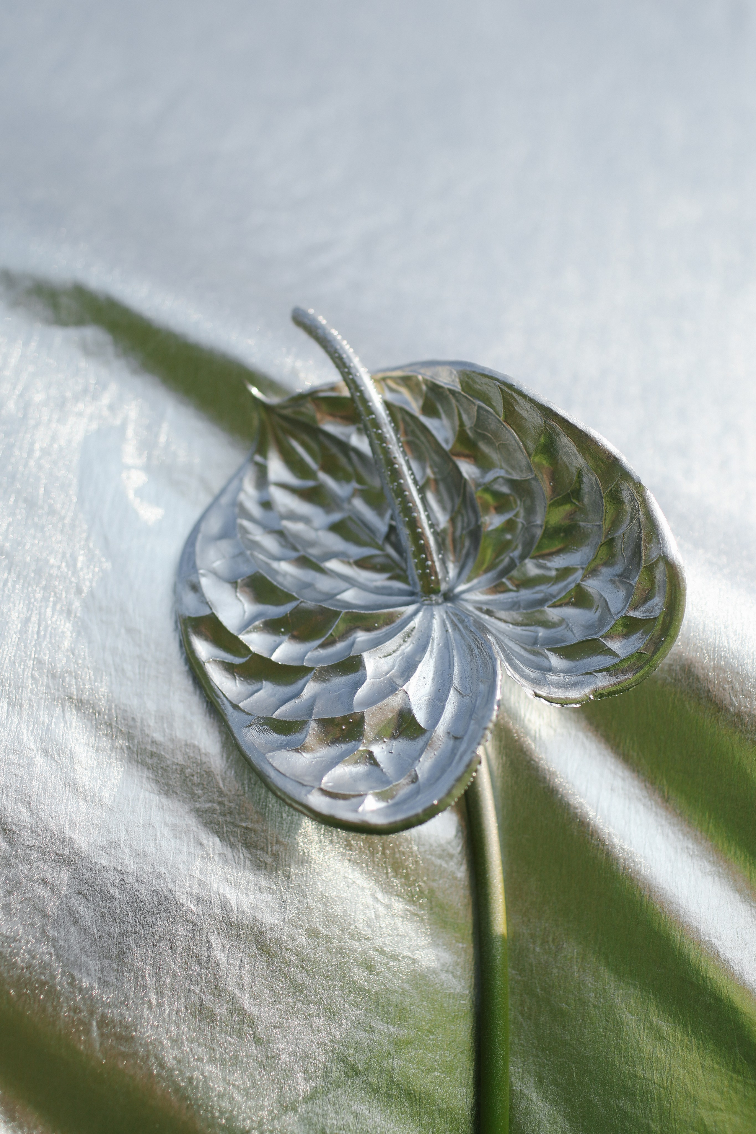 ЖЕКА И ПОЛИНКА. Свадьбы