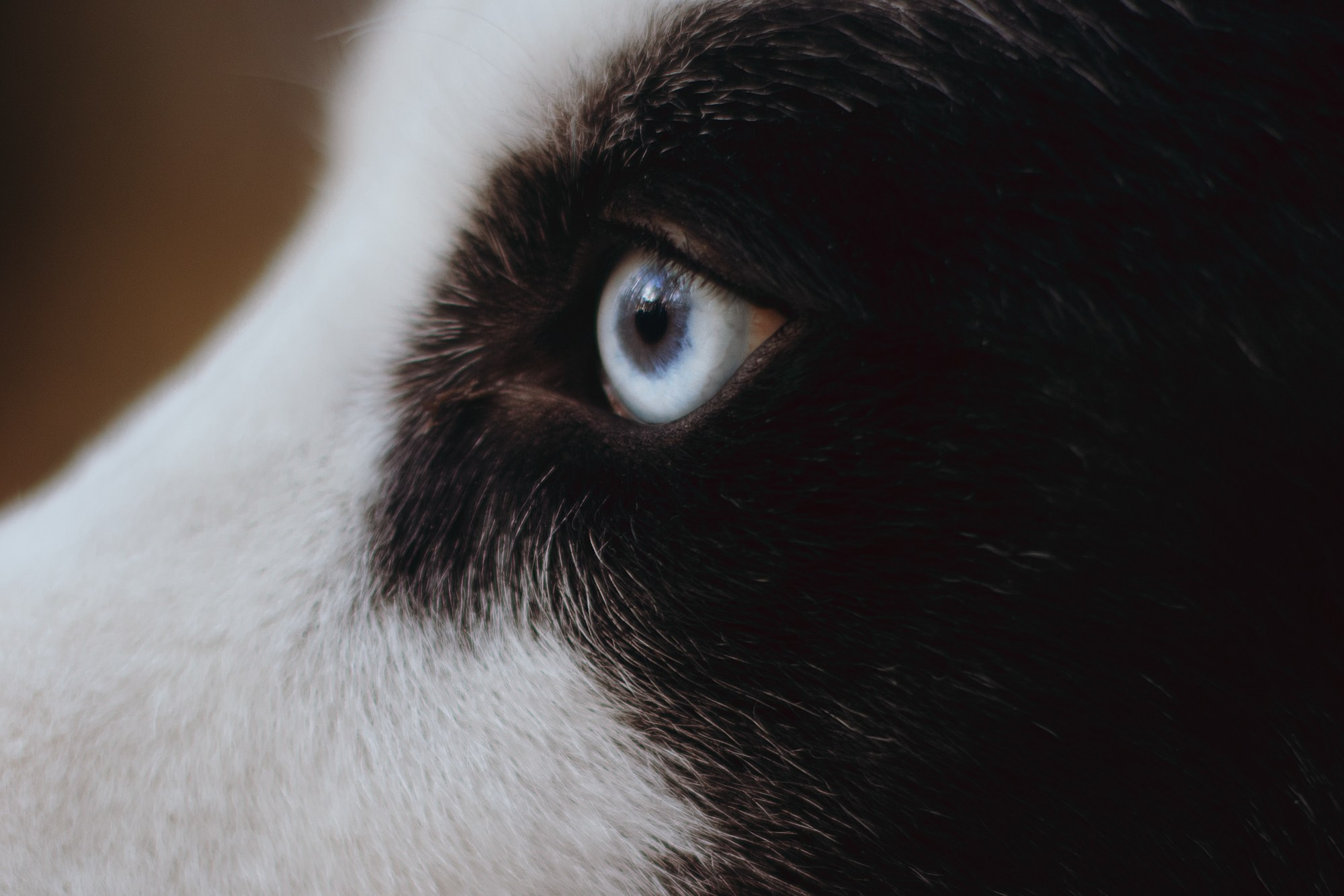 Ликёр. Фотограф в Тюмени Лизавета Сапицкая