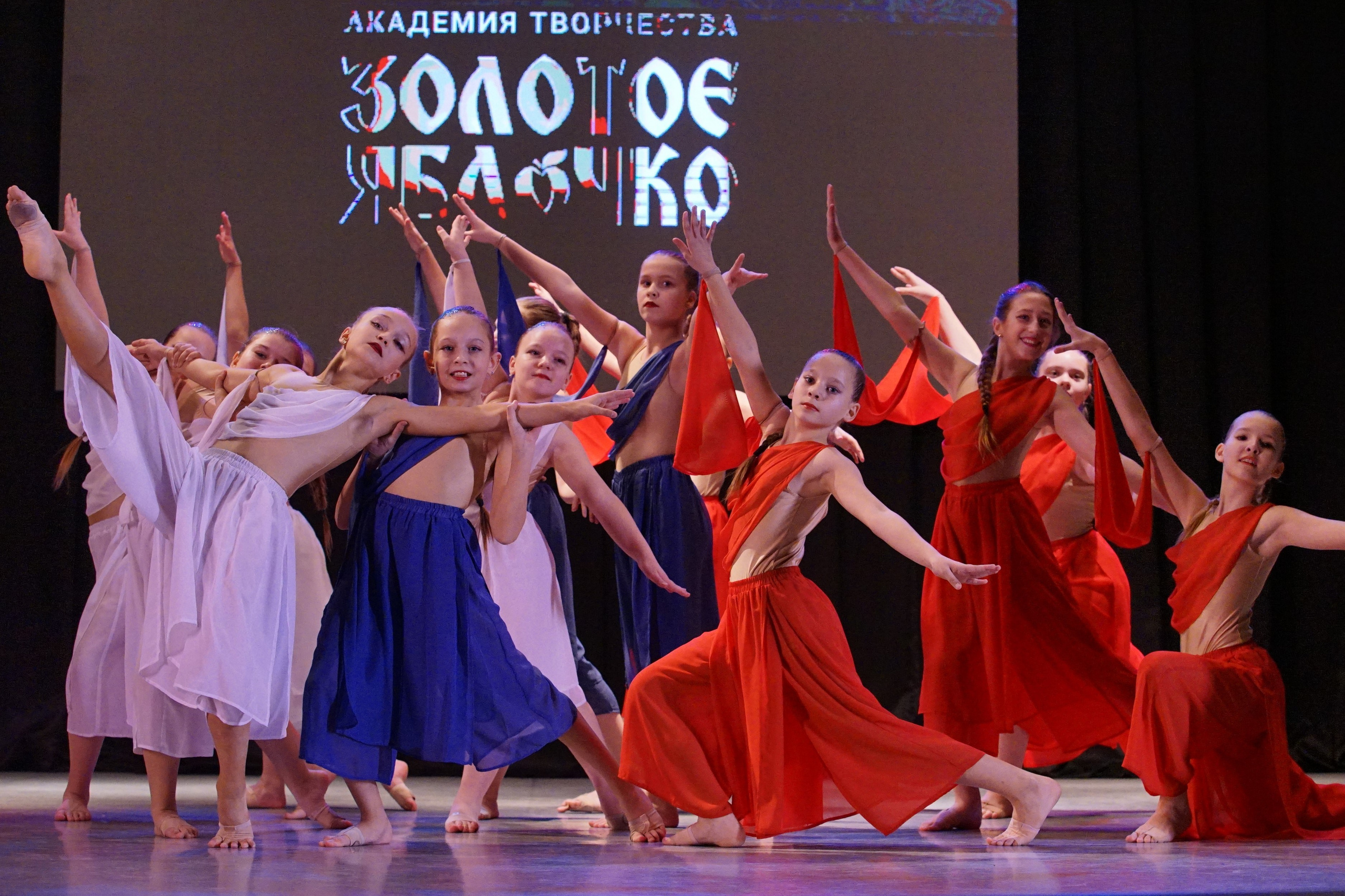 17 ноября, г. Новосибирск. Золотое яблочко