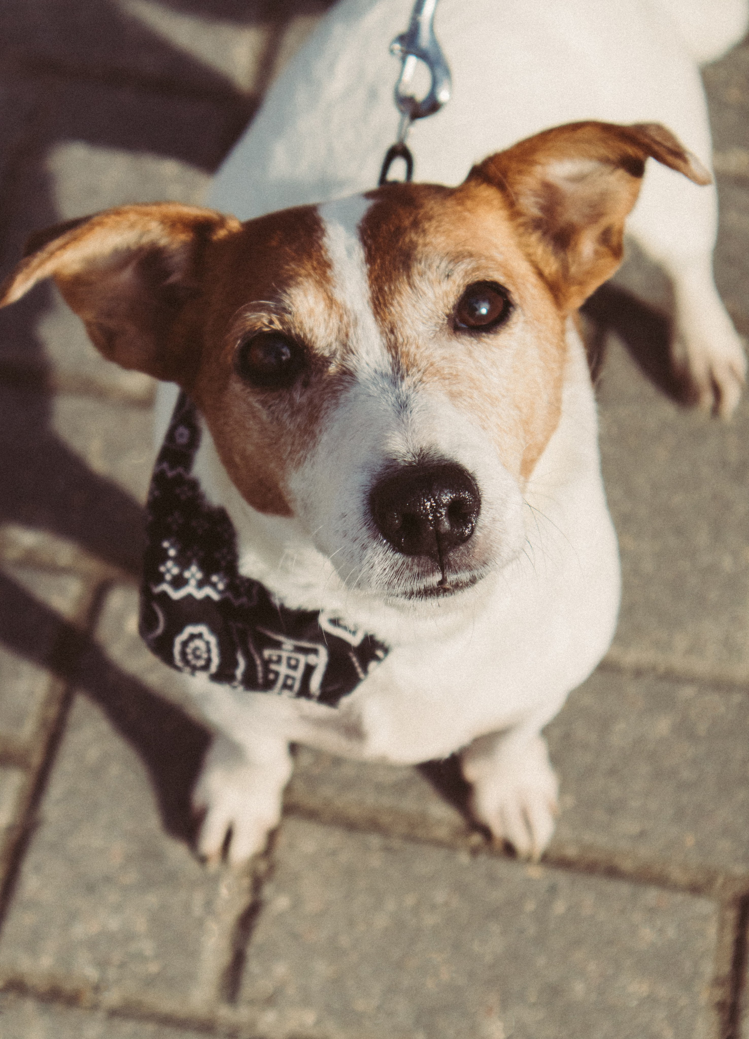 Полина и Греночка. Фотограф в Твери Дарья Уткина