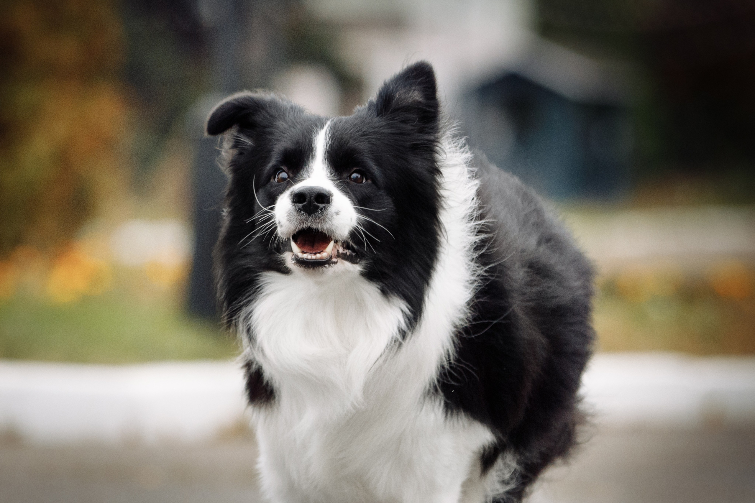 Казань. О нас