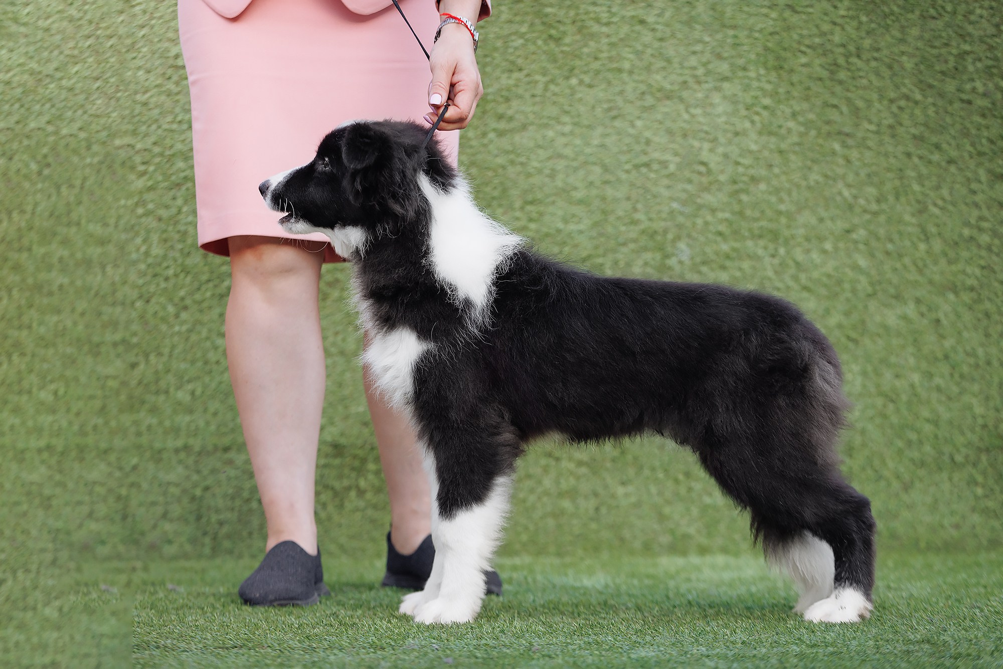 Трава у дома. О нас