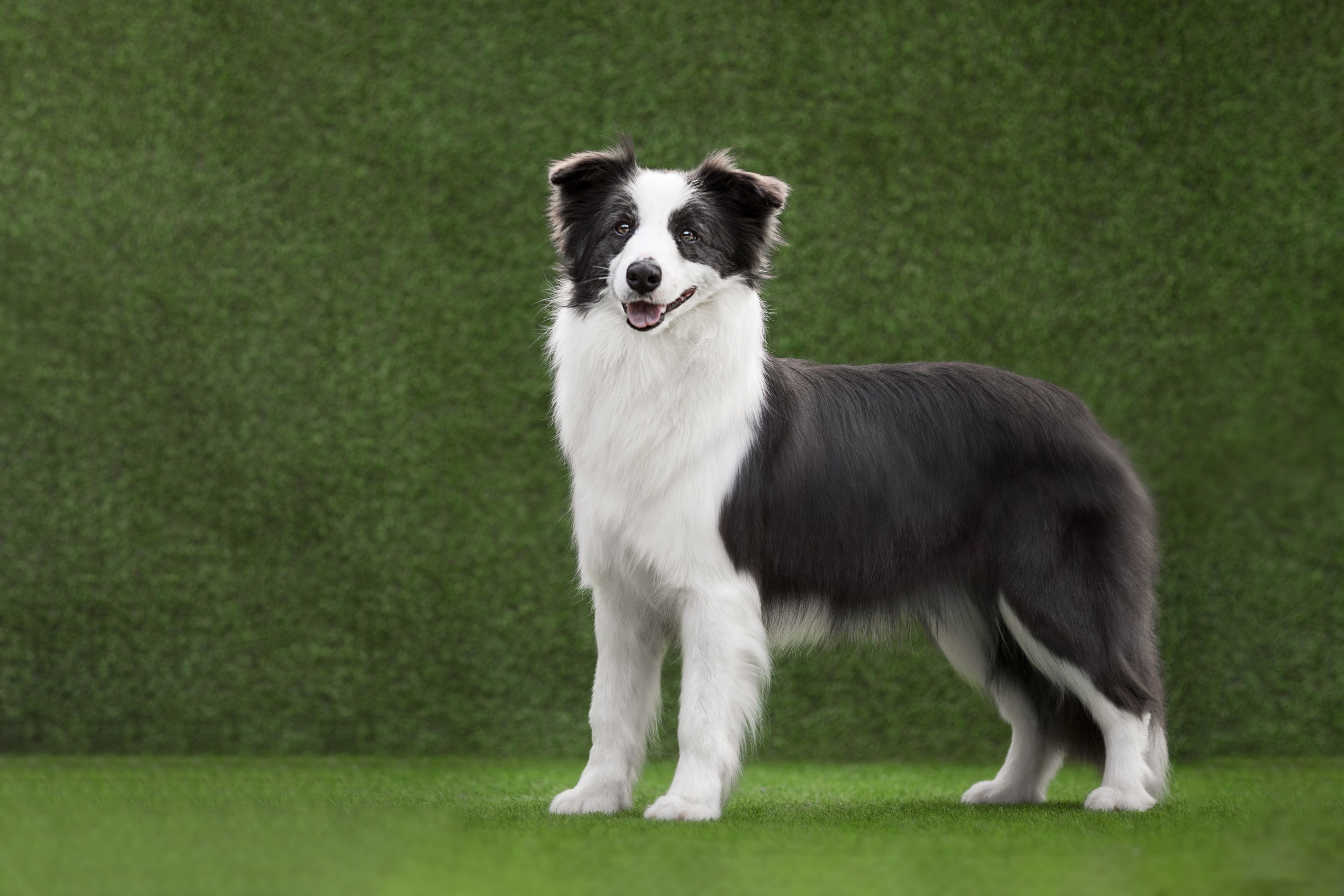 Роскошь в ростошах. О нас