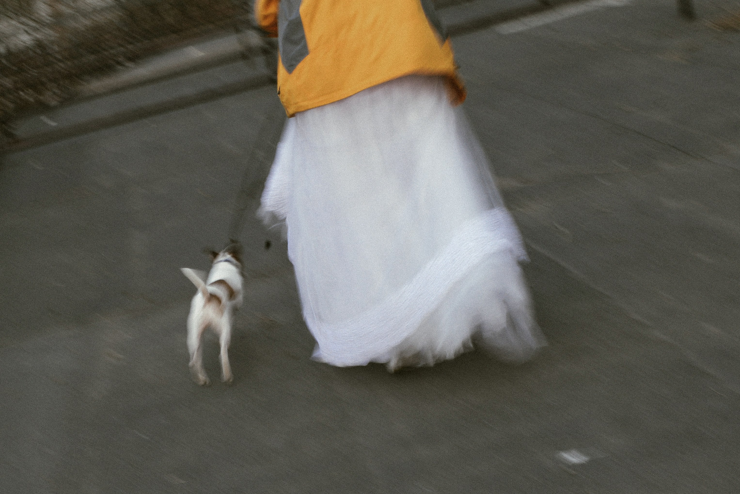 30 дней. Дарья Пянзина | фотограф |междисциплинарная художница