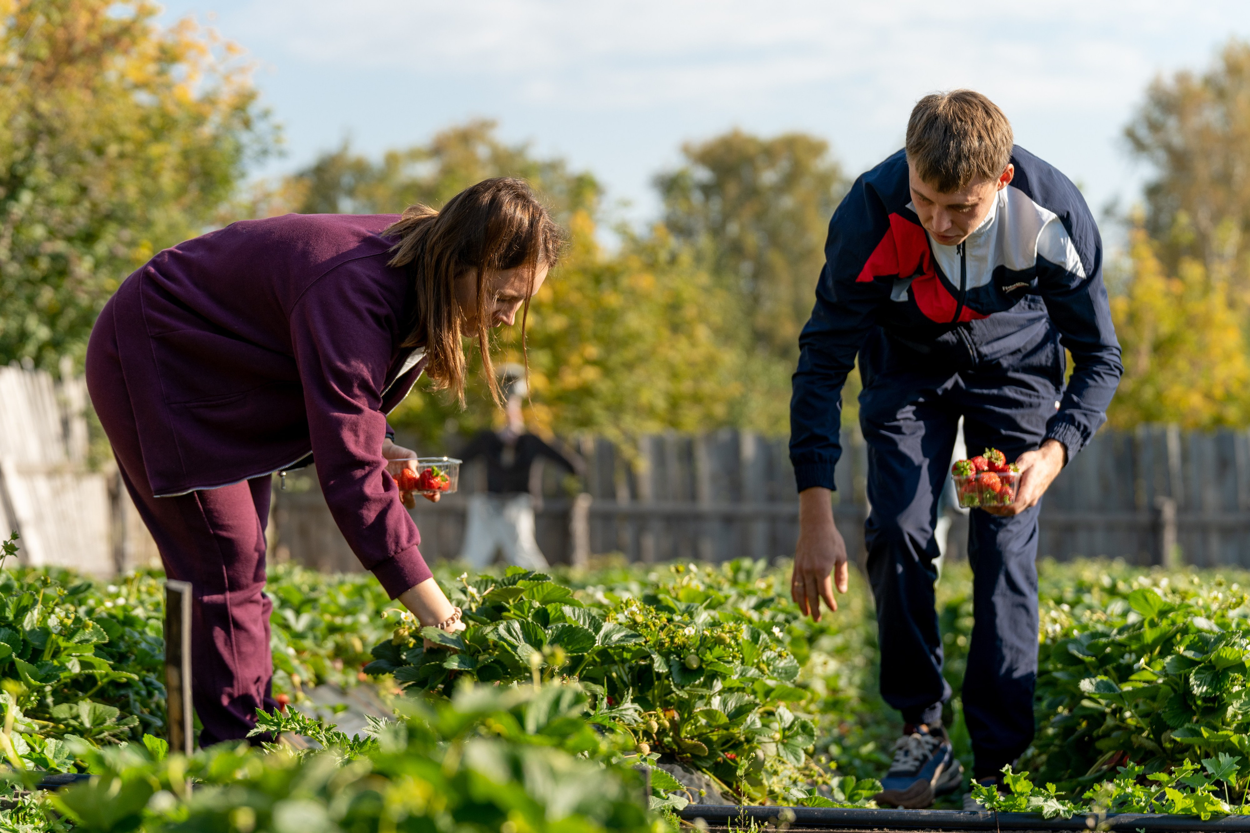 Валерия и Владислав Ращектаевы. Фермеры. Репортажный фотограф Наталья Лапцевич