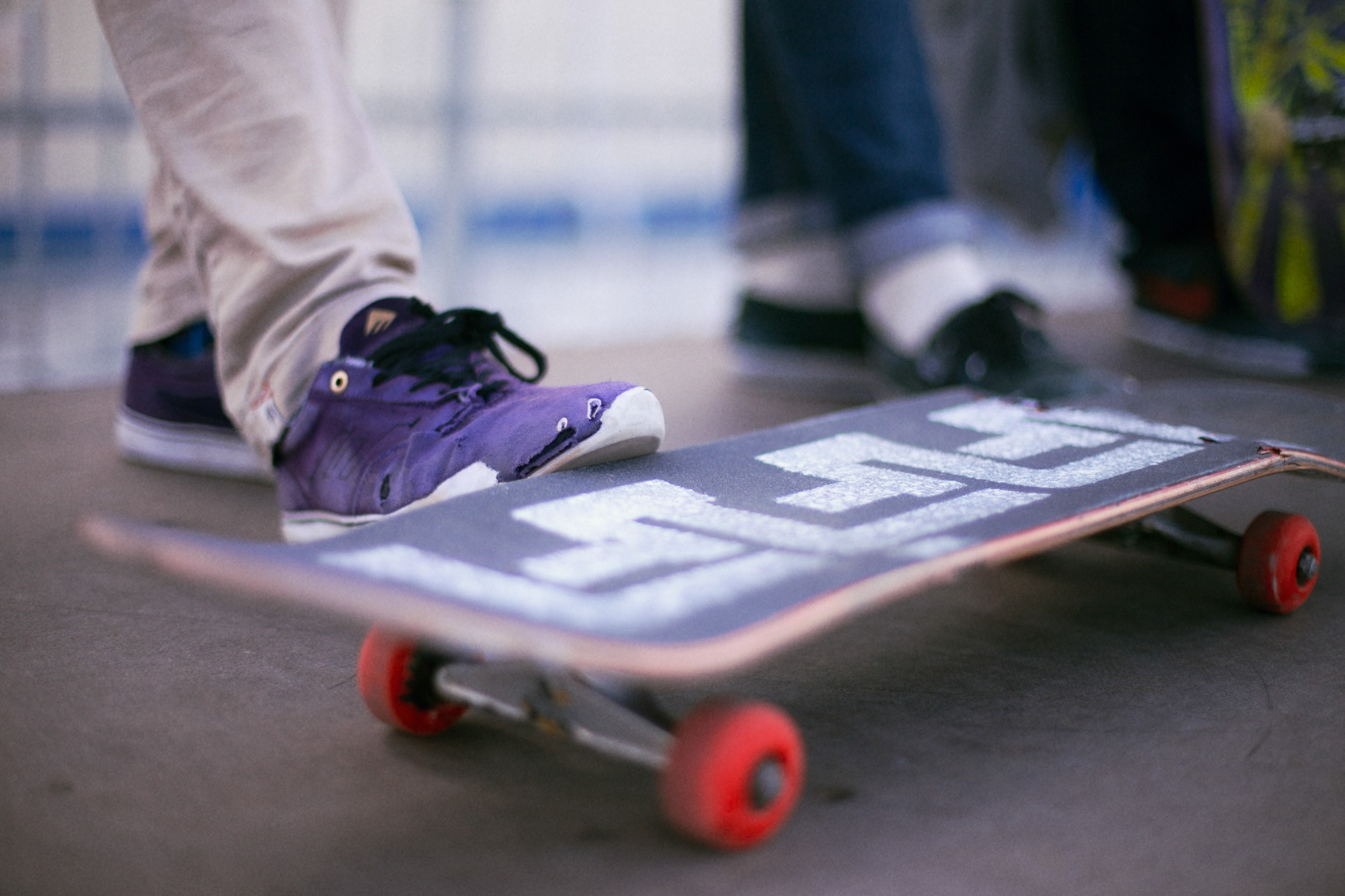 Lifestyle. Bivol images