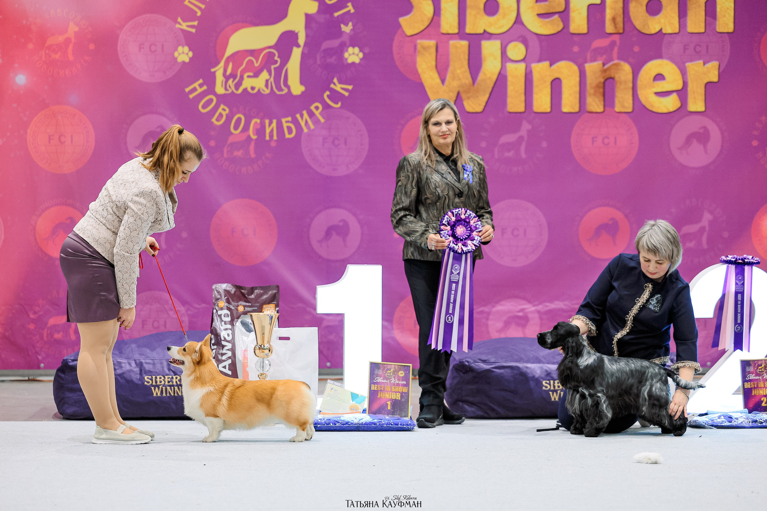 28-29.03.2026 Рейтинговая выставка в Новосибирске. Фотограф Анималист из Новосибирска Татьяна Кауфман