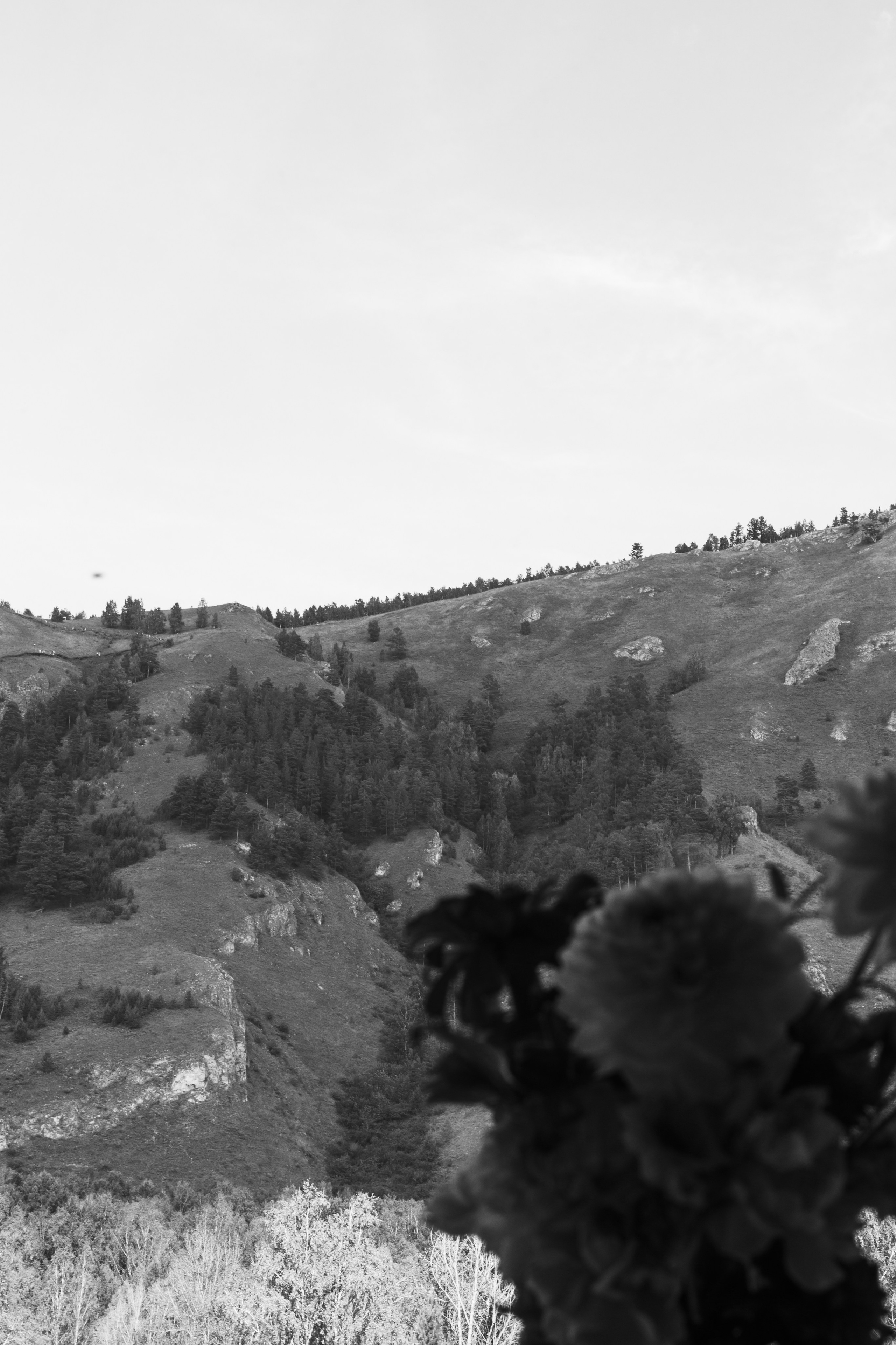 V & A. Свадебный и семейный фотограф в Красноярске Абраменко Настя