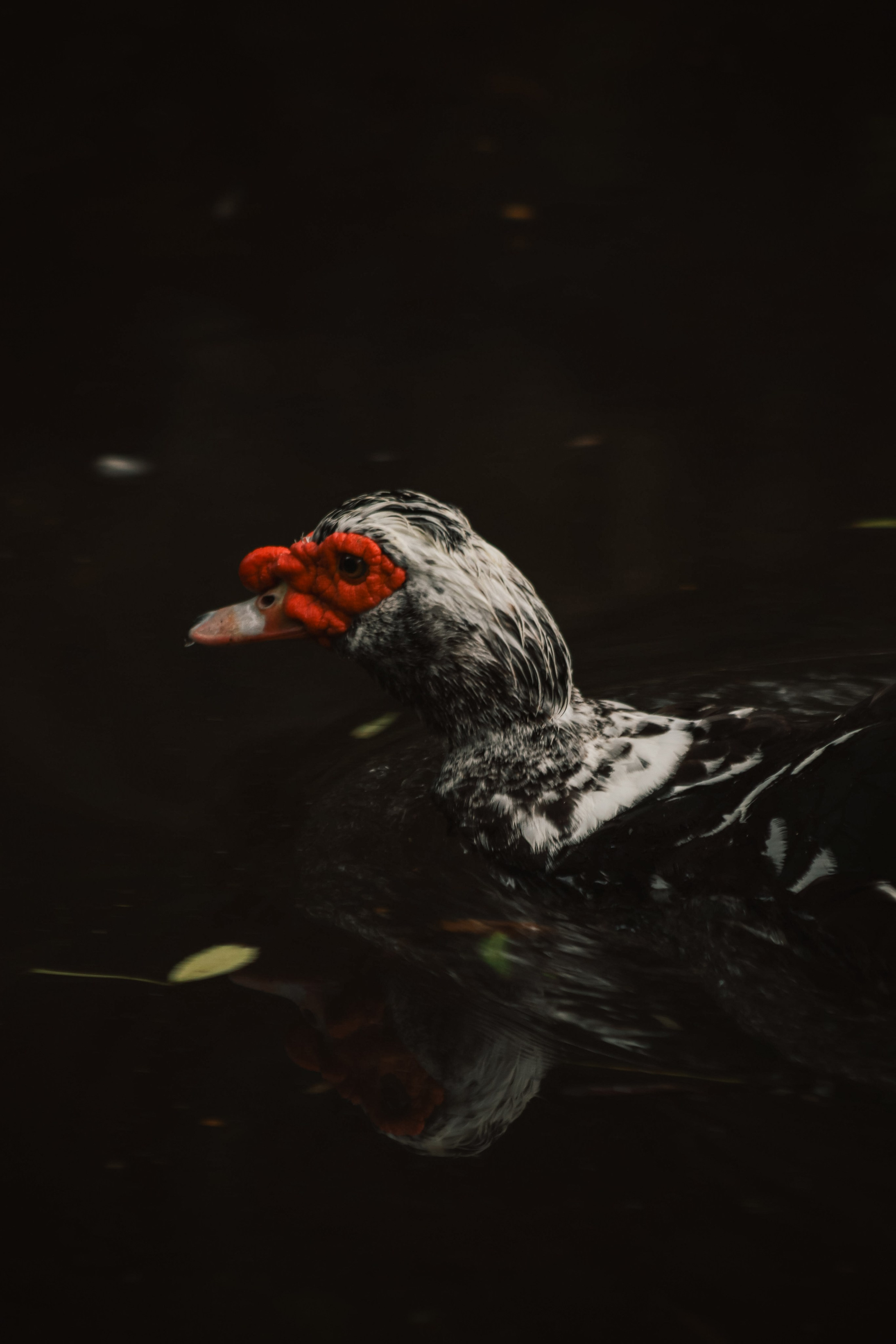 Р А З Н А Я — Ж И В Н О С Т Ь. — Digital Noise —