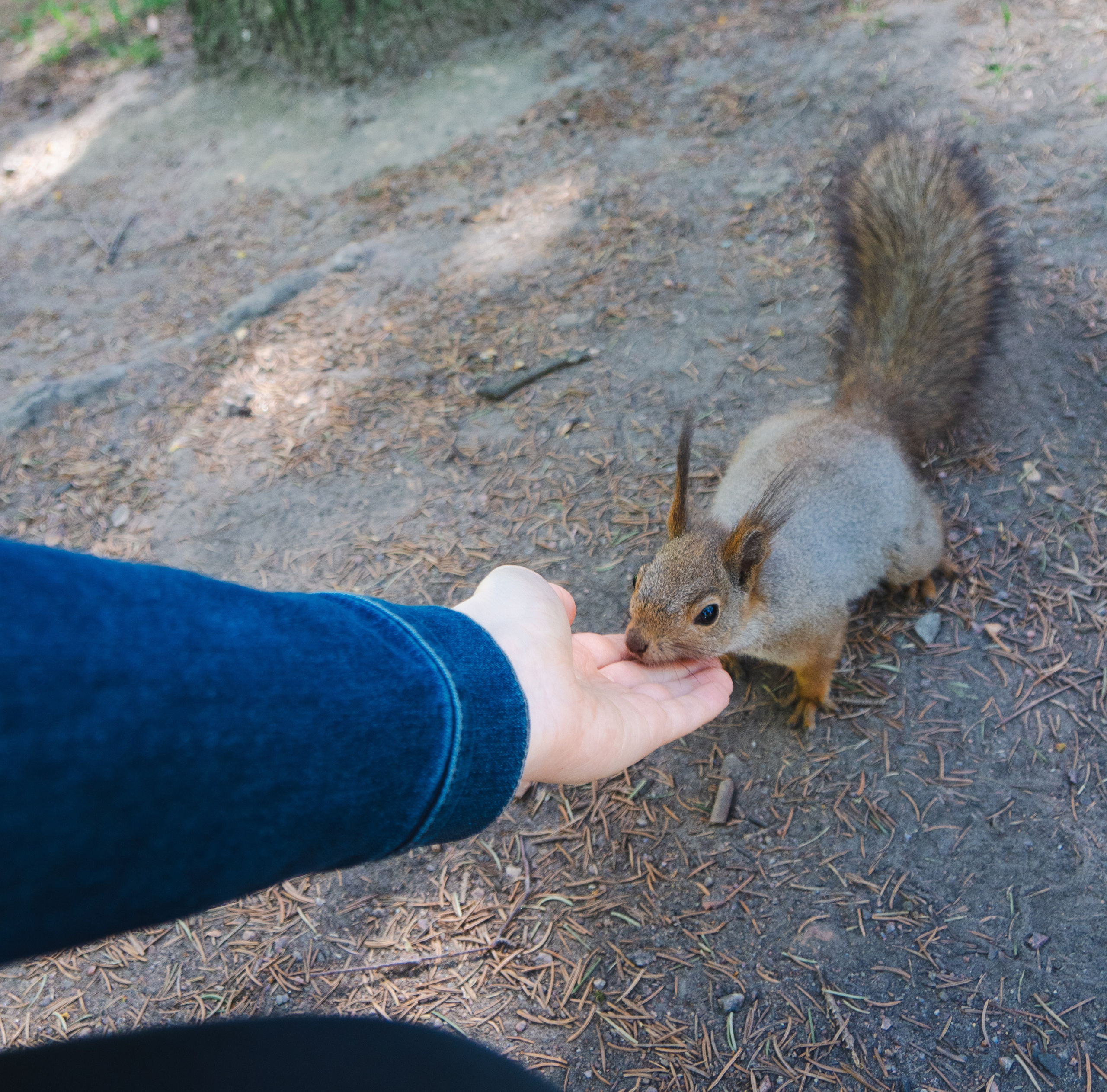 Дарья. Видеограф, фотограф в Санкт-Петербурге Элеонора Петрова