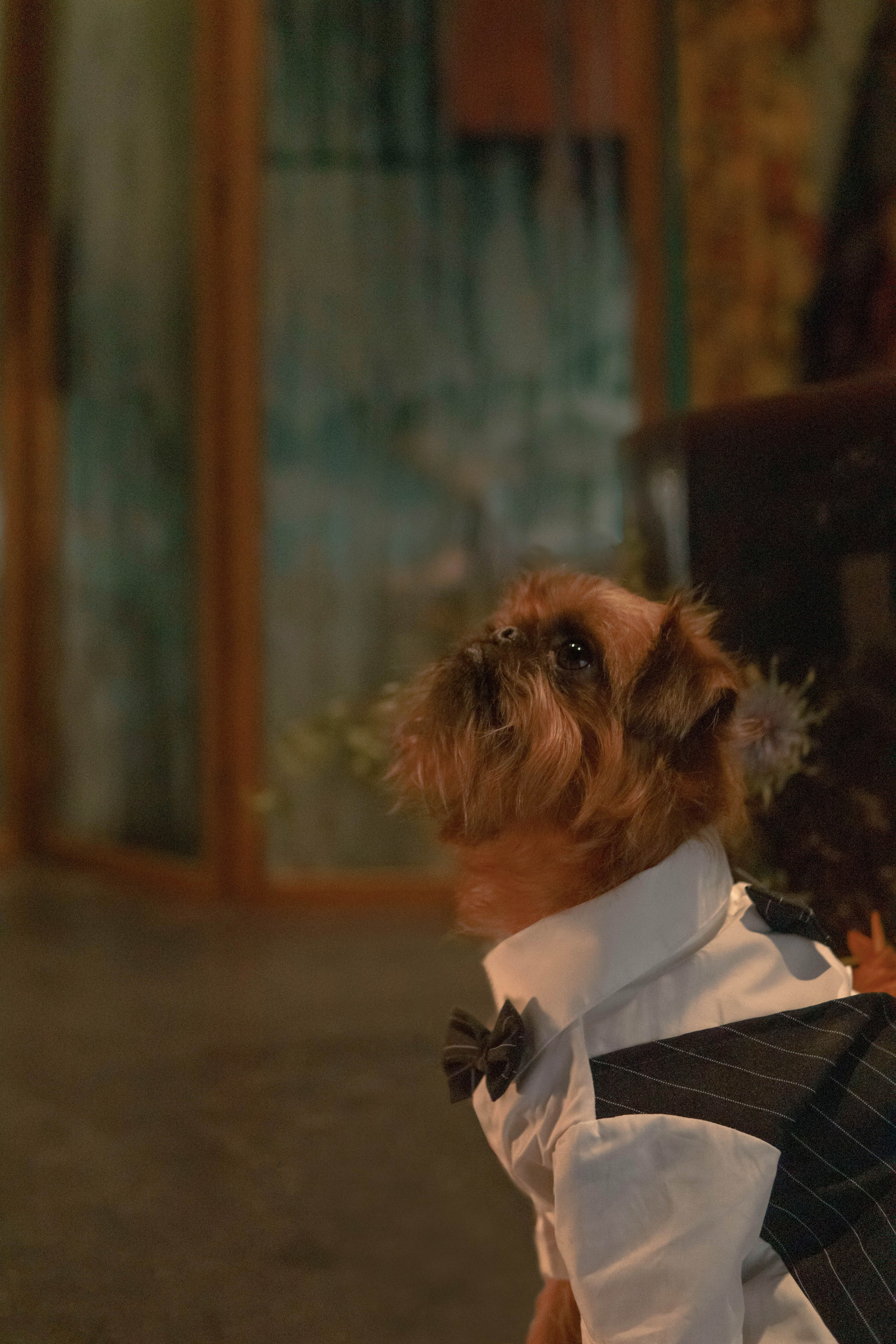 Наташа и Хавьер. Фотограф-анималист Ксения Воробьева, Москва