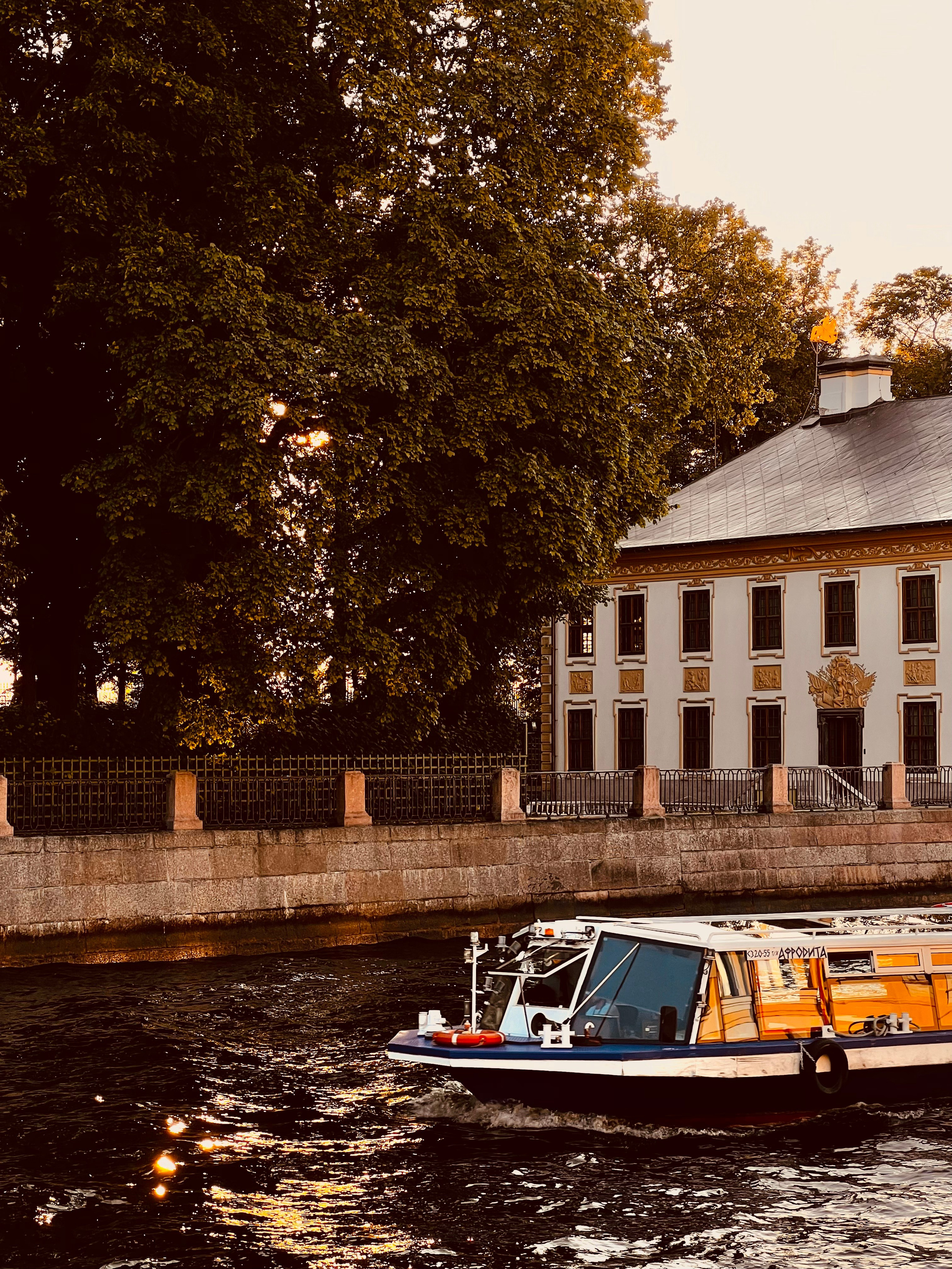 Август. Семейный, Свадебный фотограф СПБ Питер— Романова Екатерина