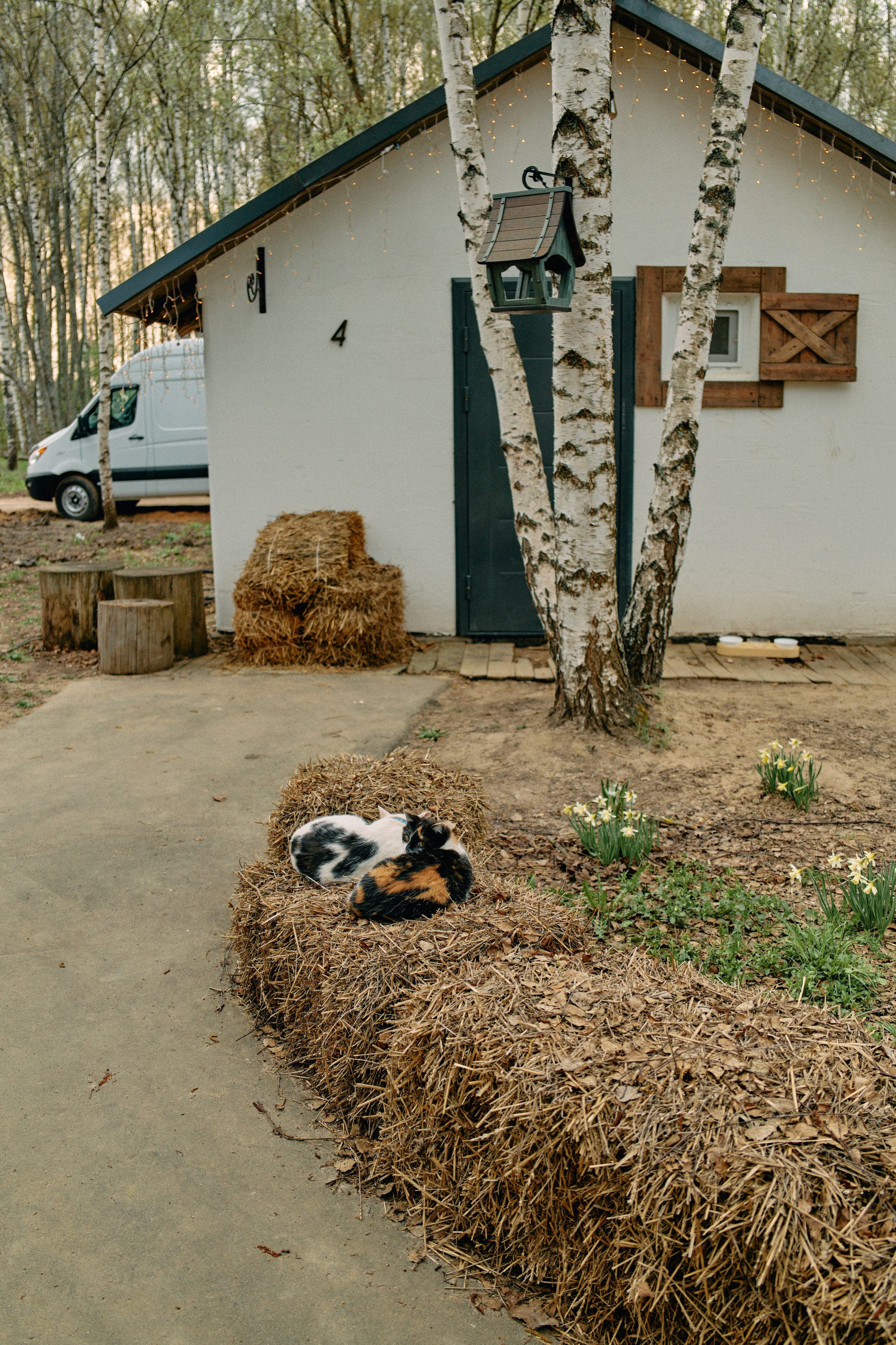 Бутик-отель Поле летом. Профессиональный Фотограф во Владимире, в Москве и в Суздале — Полина Романычева
