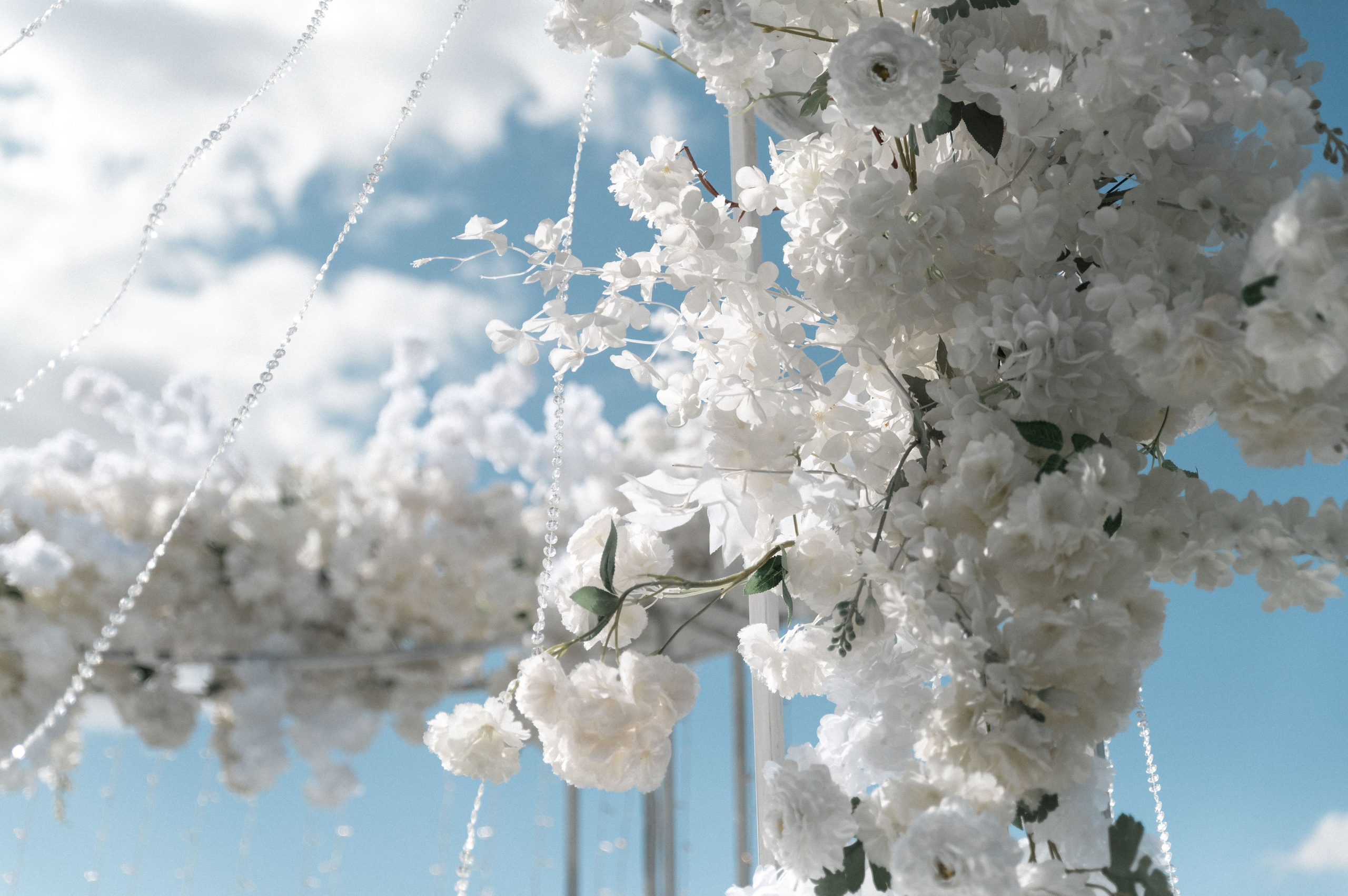 Миша и Лена. Свадебный фотограф Евгения Наумовец