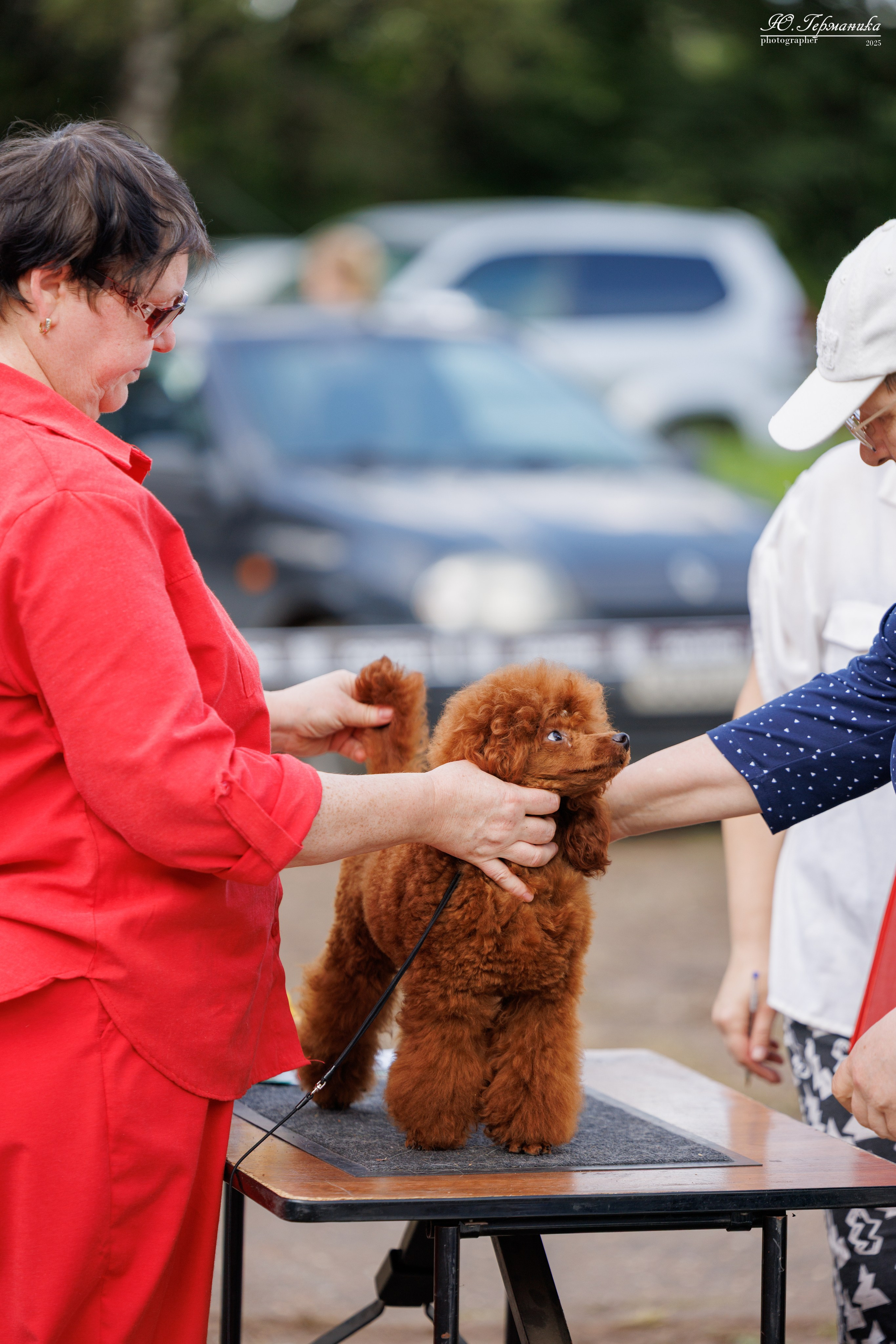 Тверь 10.08.2025. Фотограф-анималист Юлия Германика