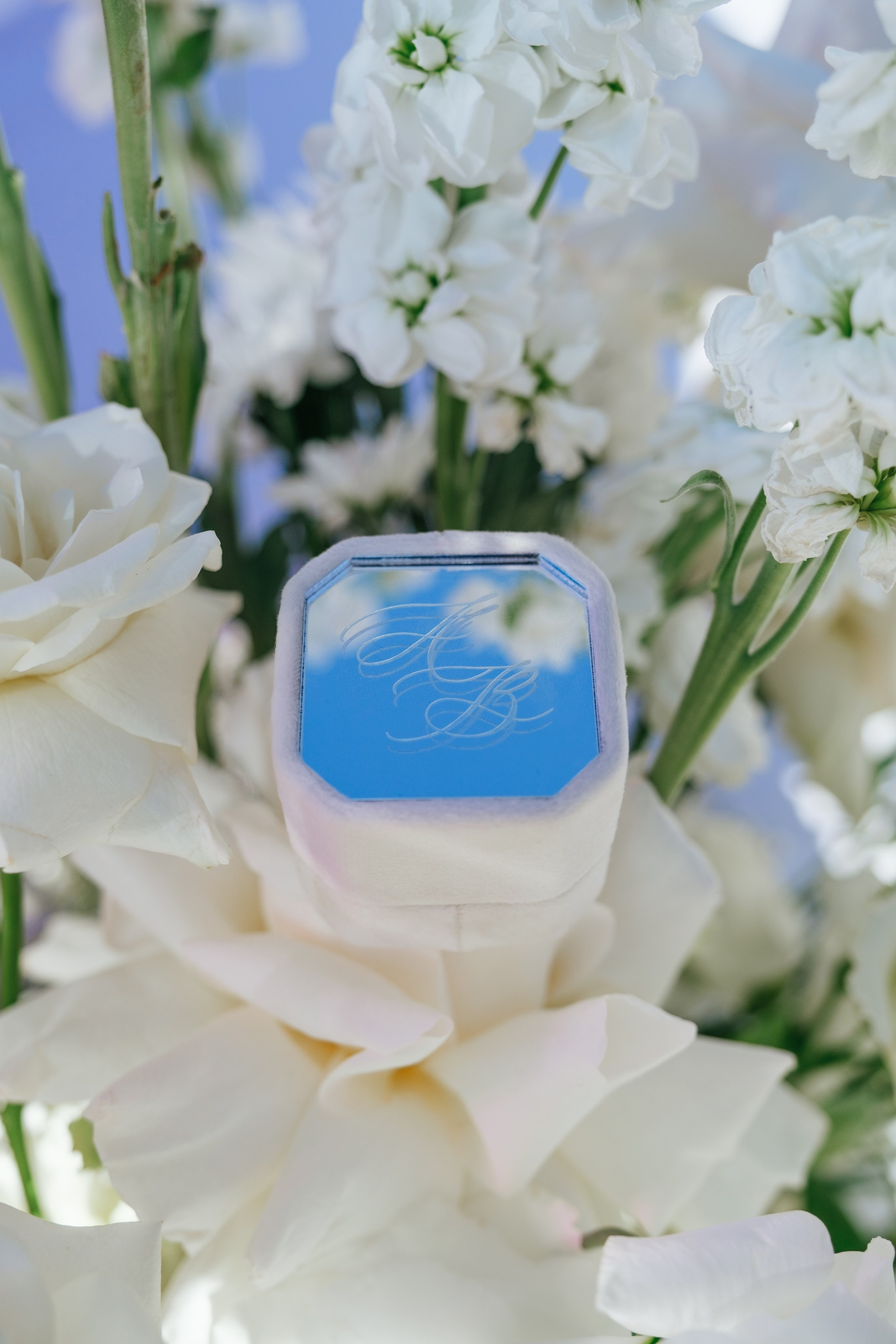 Сияние. Свадебный Видеограф Фотограф в Сочи